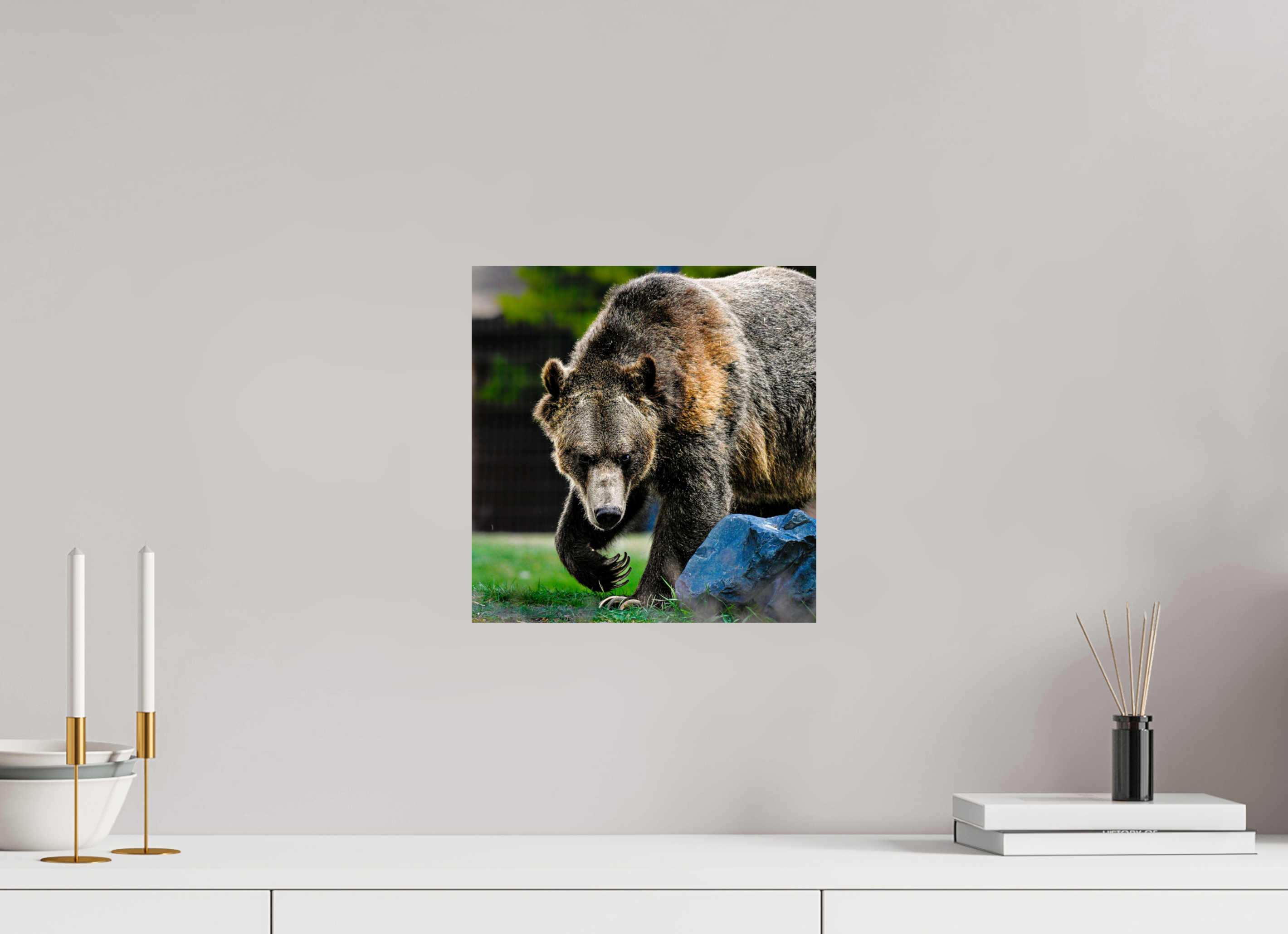12 x 12.4″, PHOTO PAPER Bear