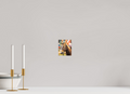 4 x 4.9″, PHOTO PAPER Pack Horse Portrait 9 Web Exclusive