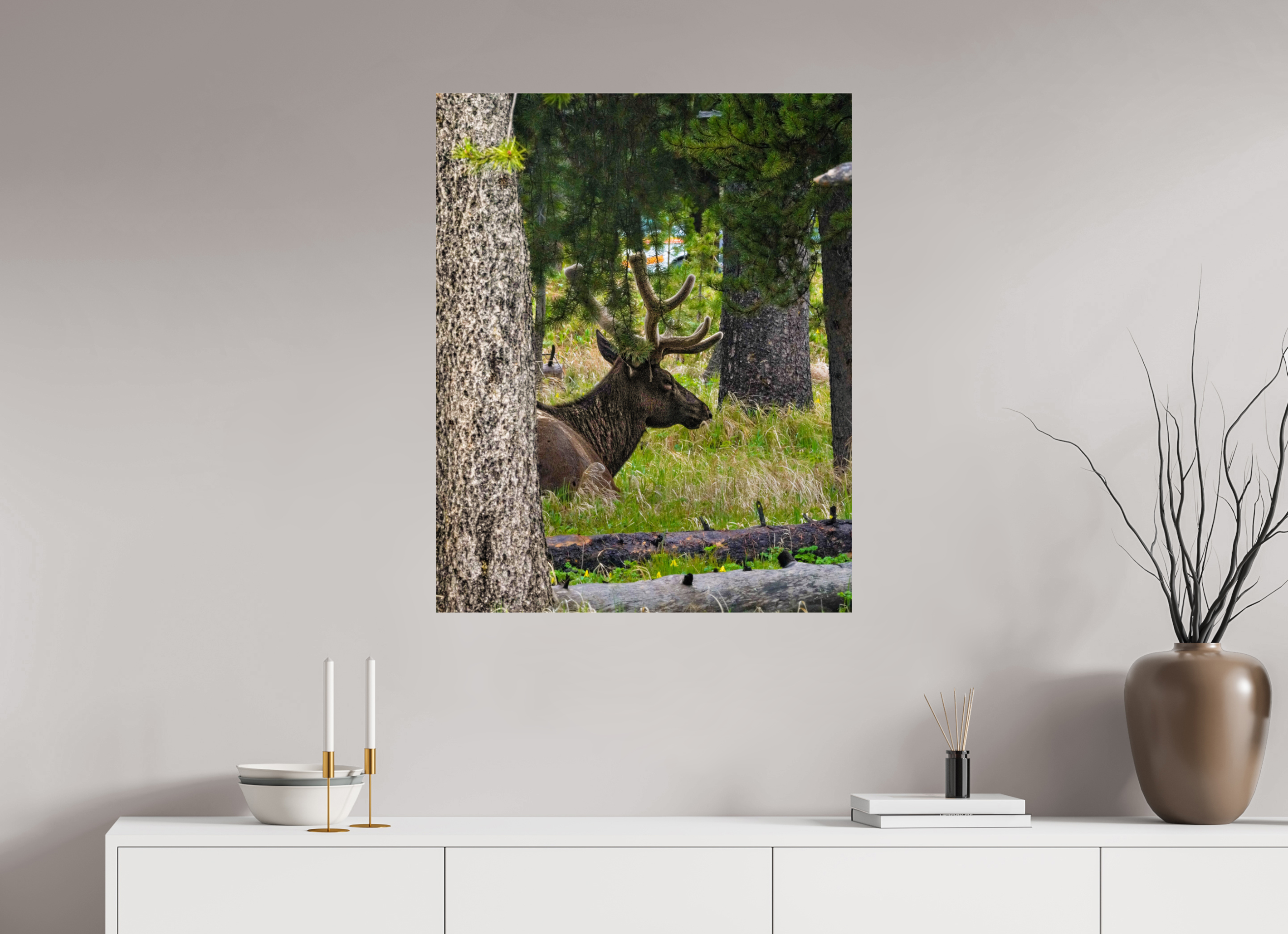 28 x 35″, ACRYLIC Elk