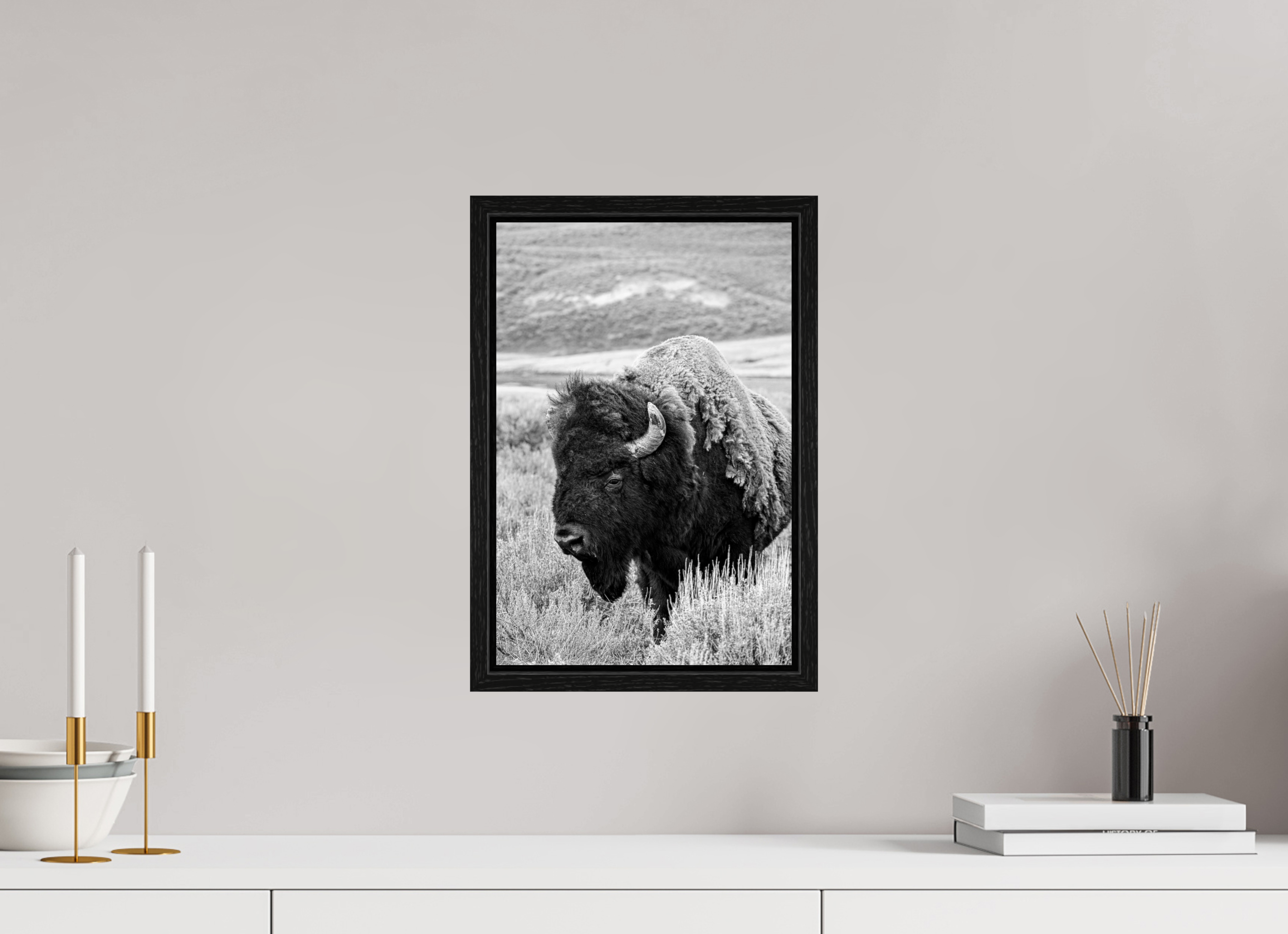 10 x 15″, Floater Frame Black and White Bison Side Profile