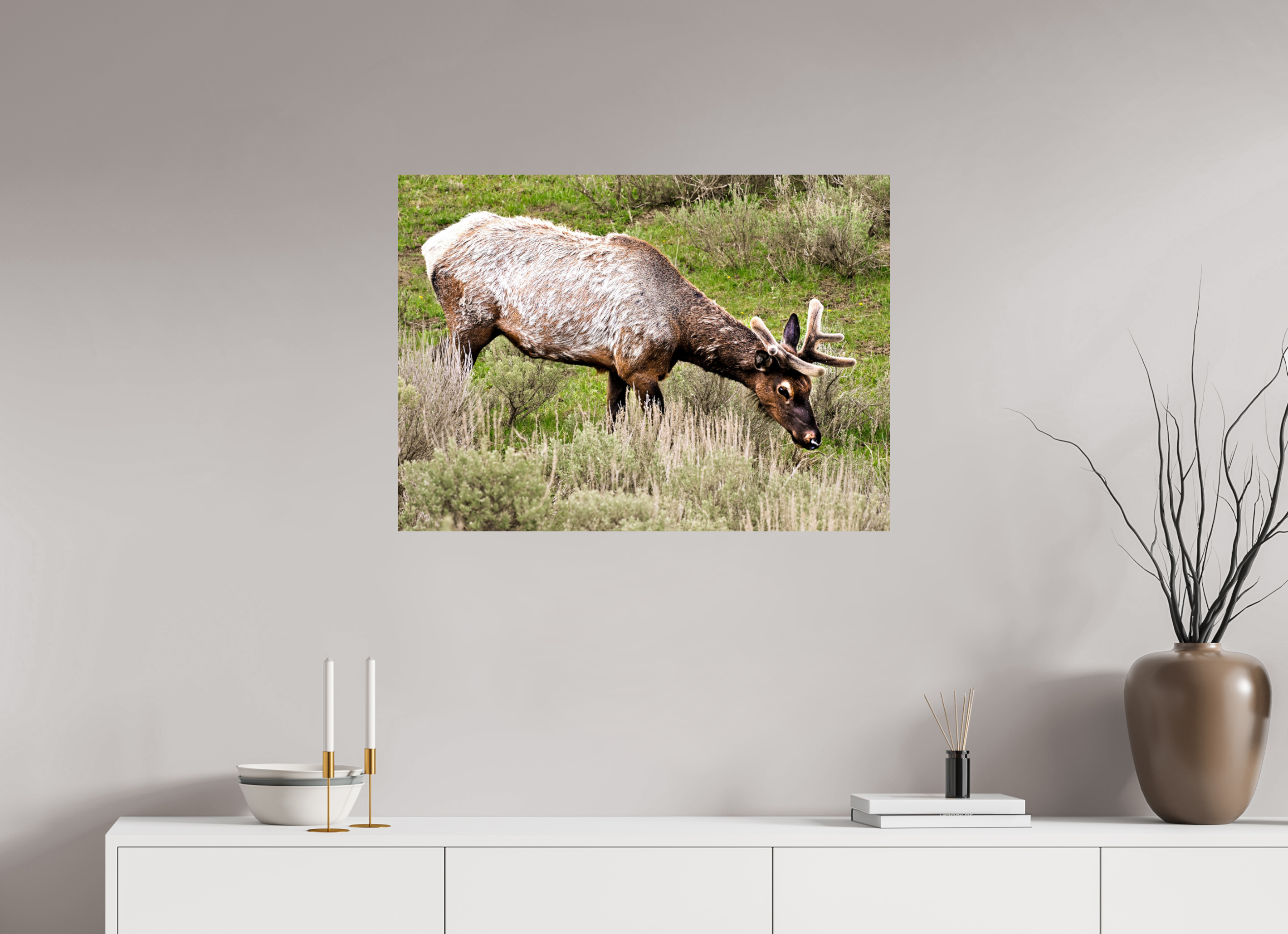 33.1 x 24″, METAL Elk