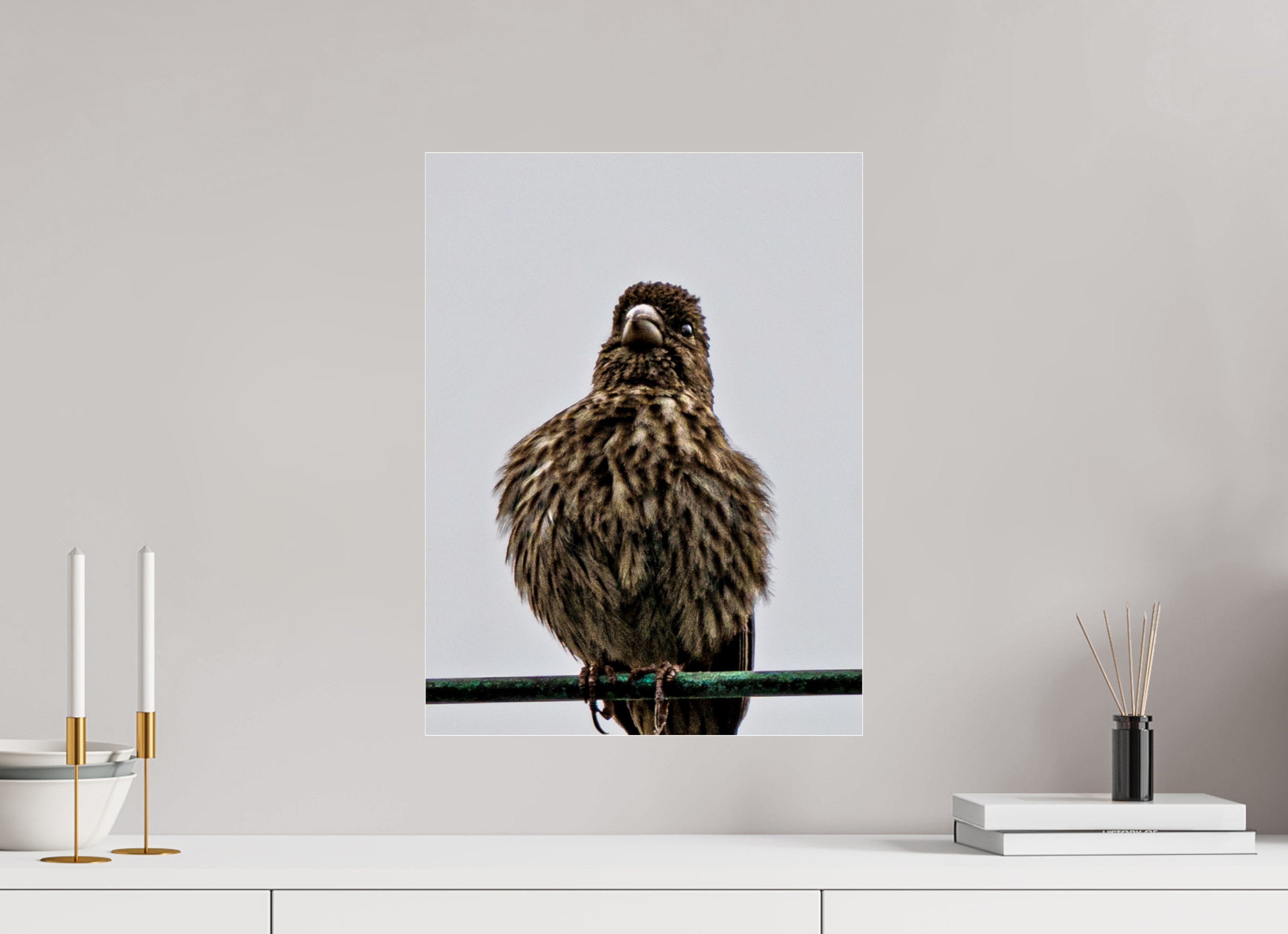 15 x 20″, ACRYLIC Bird