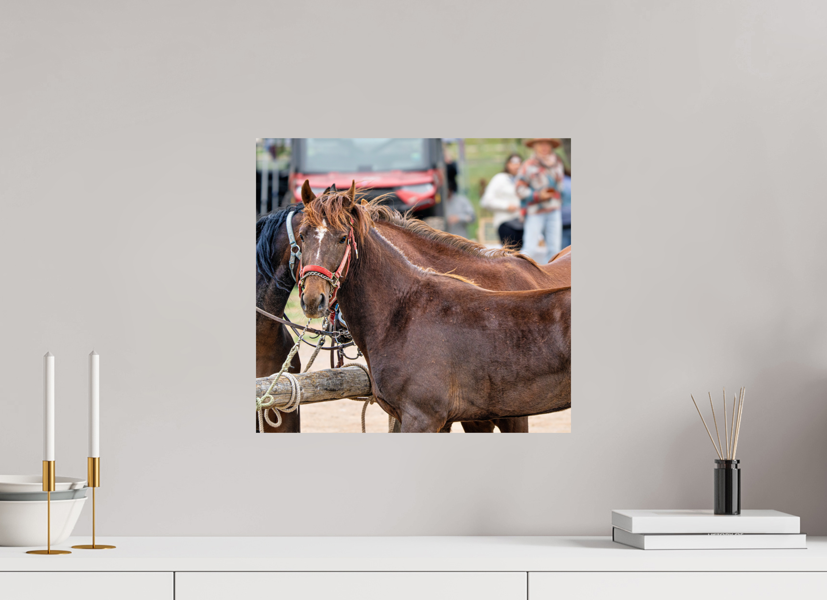 17.1 x 16″, PHOTO PAPER Pack Horse Portrait 10 Web Exclusive