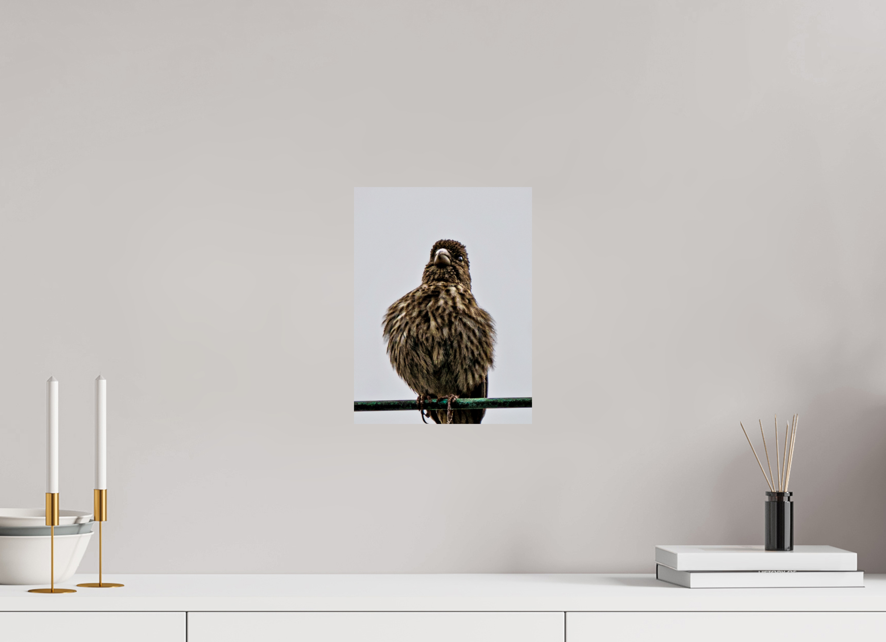 9 x 12″, PHOTO PAPER Bird