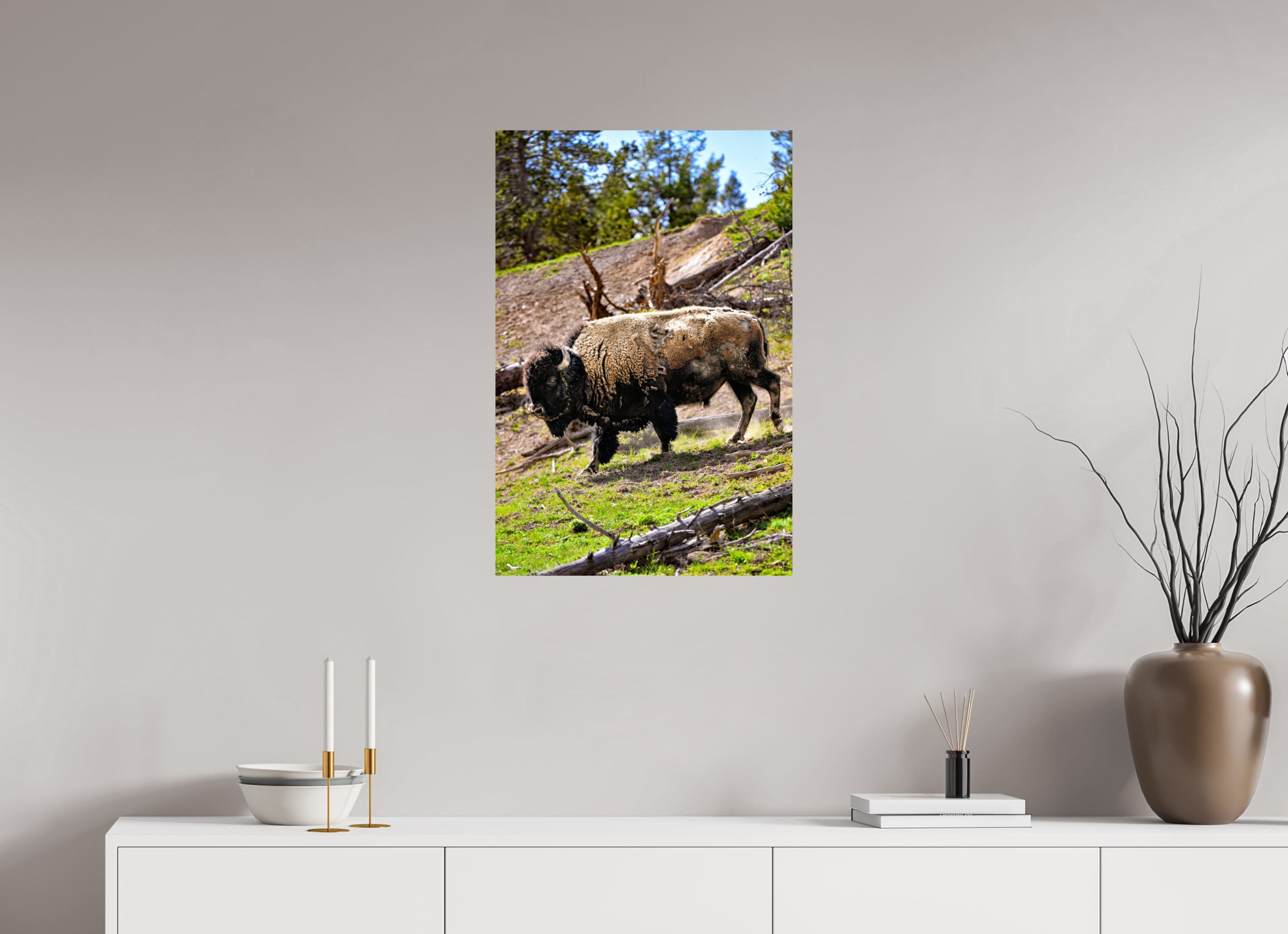 20 x 30″, METAL Bison Walking