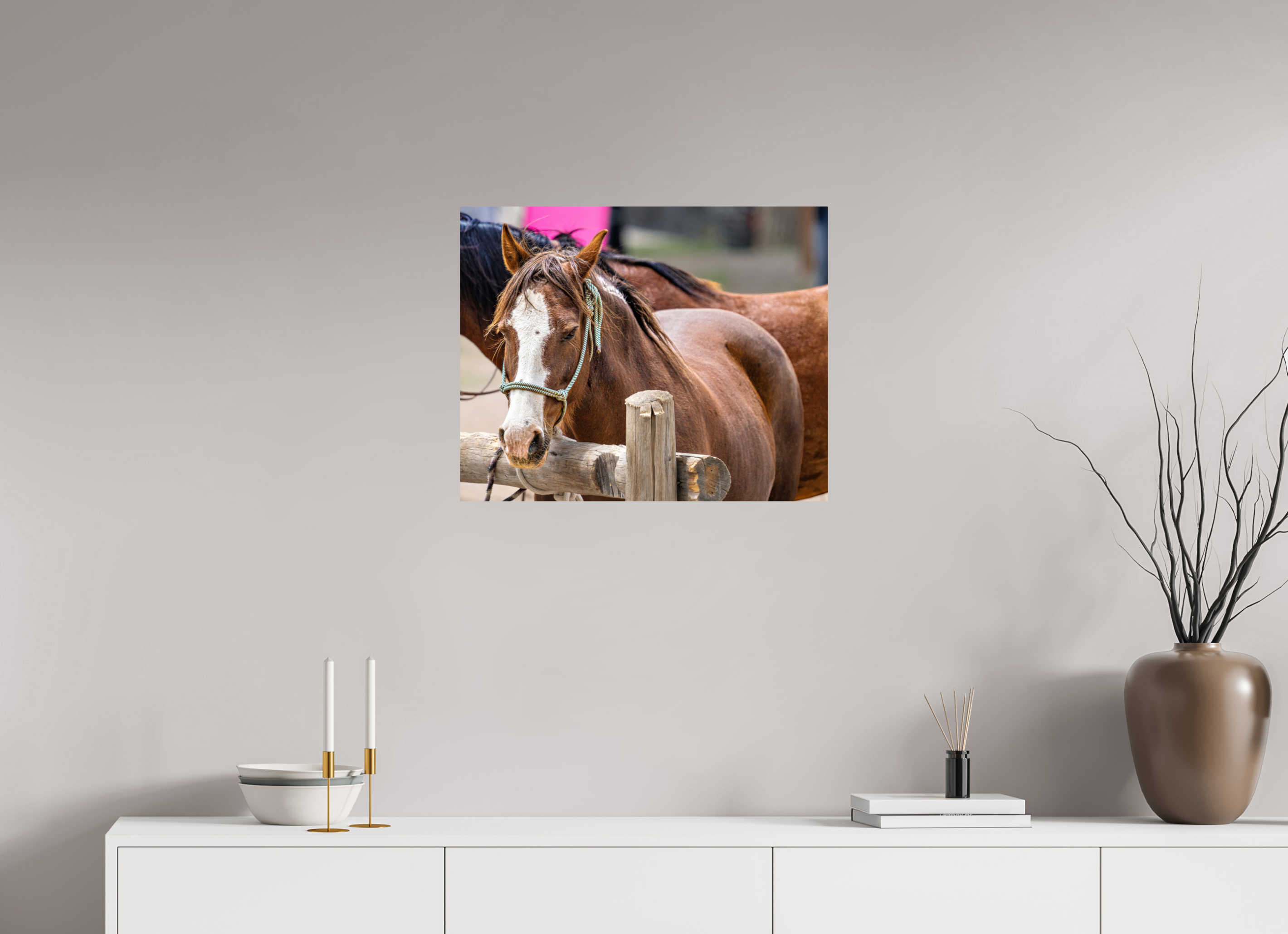 25 x 20″, PHOTO PAPER Pack Horse Portrait 12 Web Exclusive