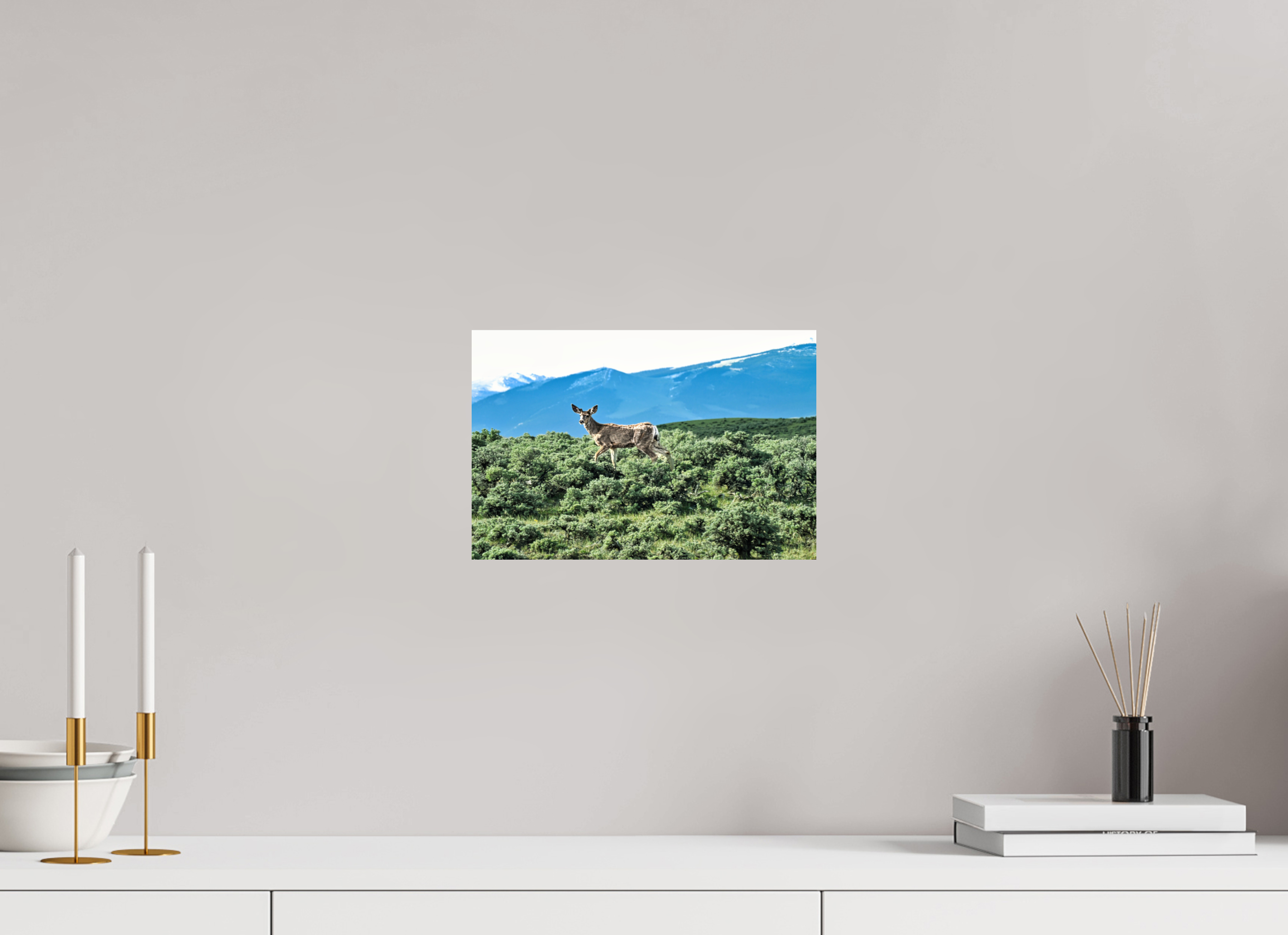 12 x 8″, PHOTO PAPER Deer