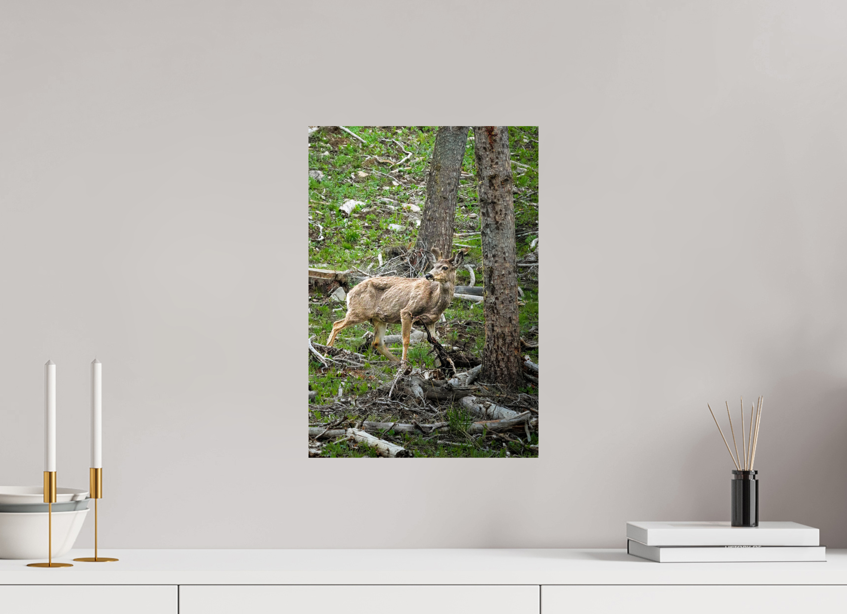 12 x 17.3″, METAL Deer