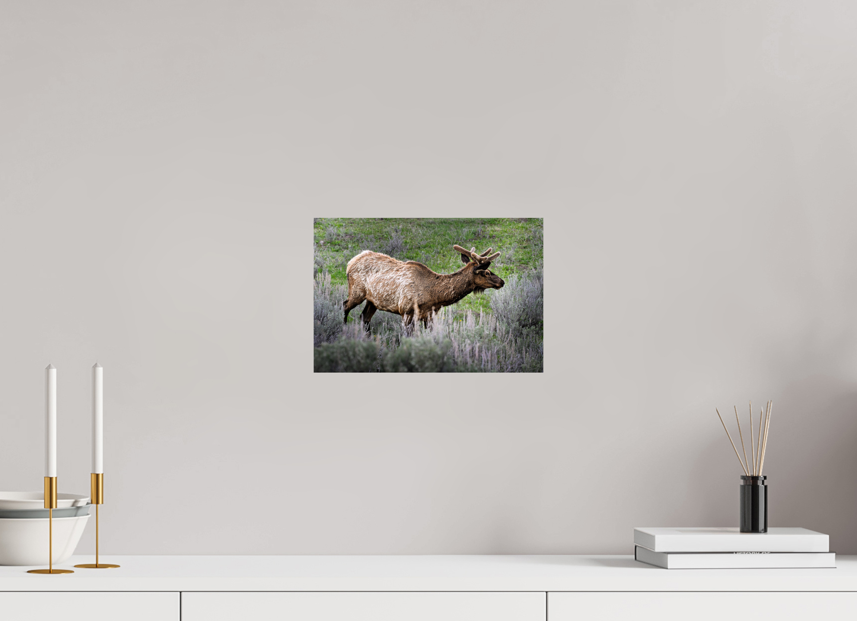 11.9 x 8″, METAL Elk