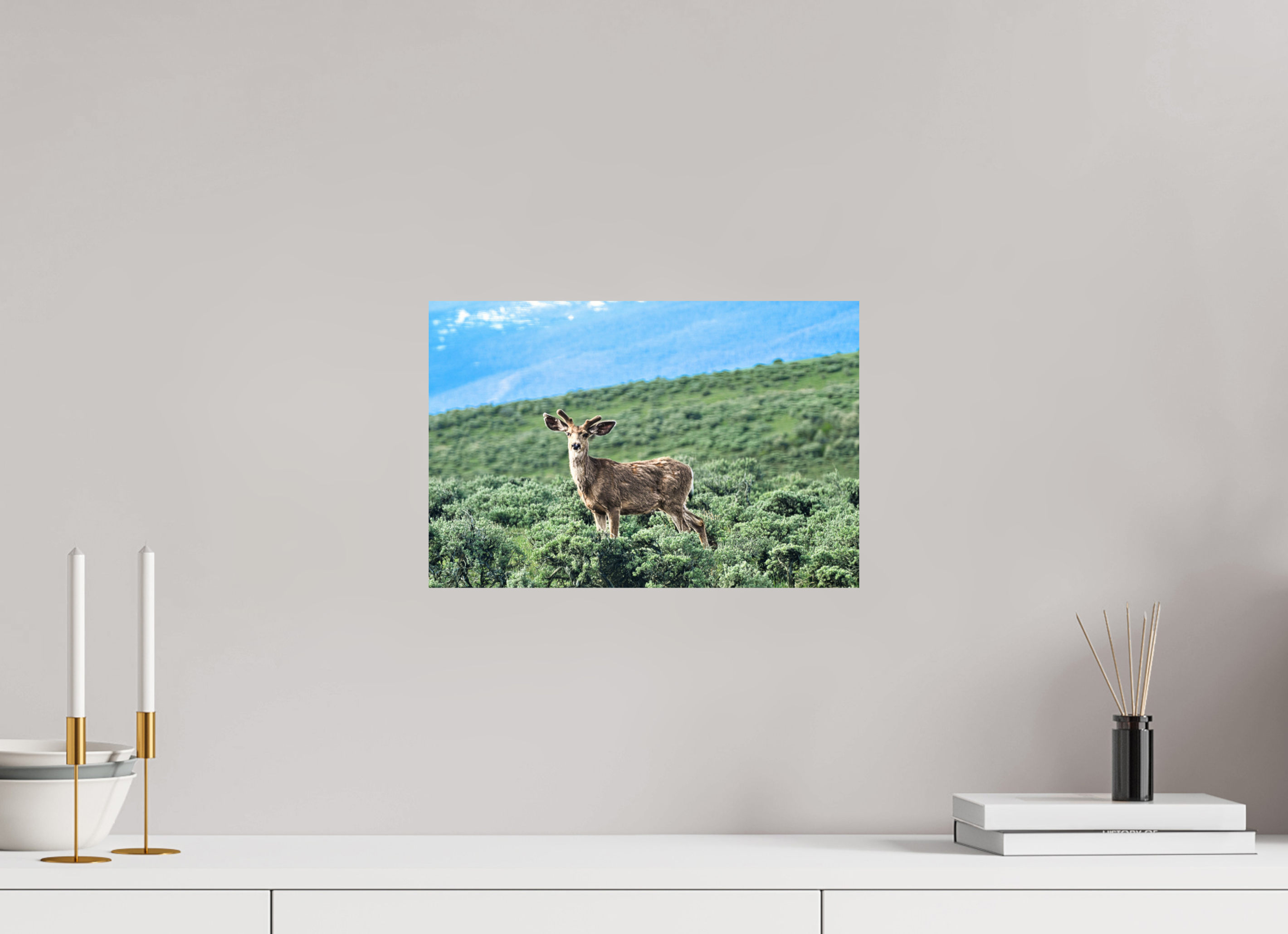 15 x 10″, PHOTO PAPER Deer