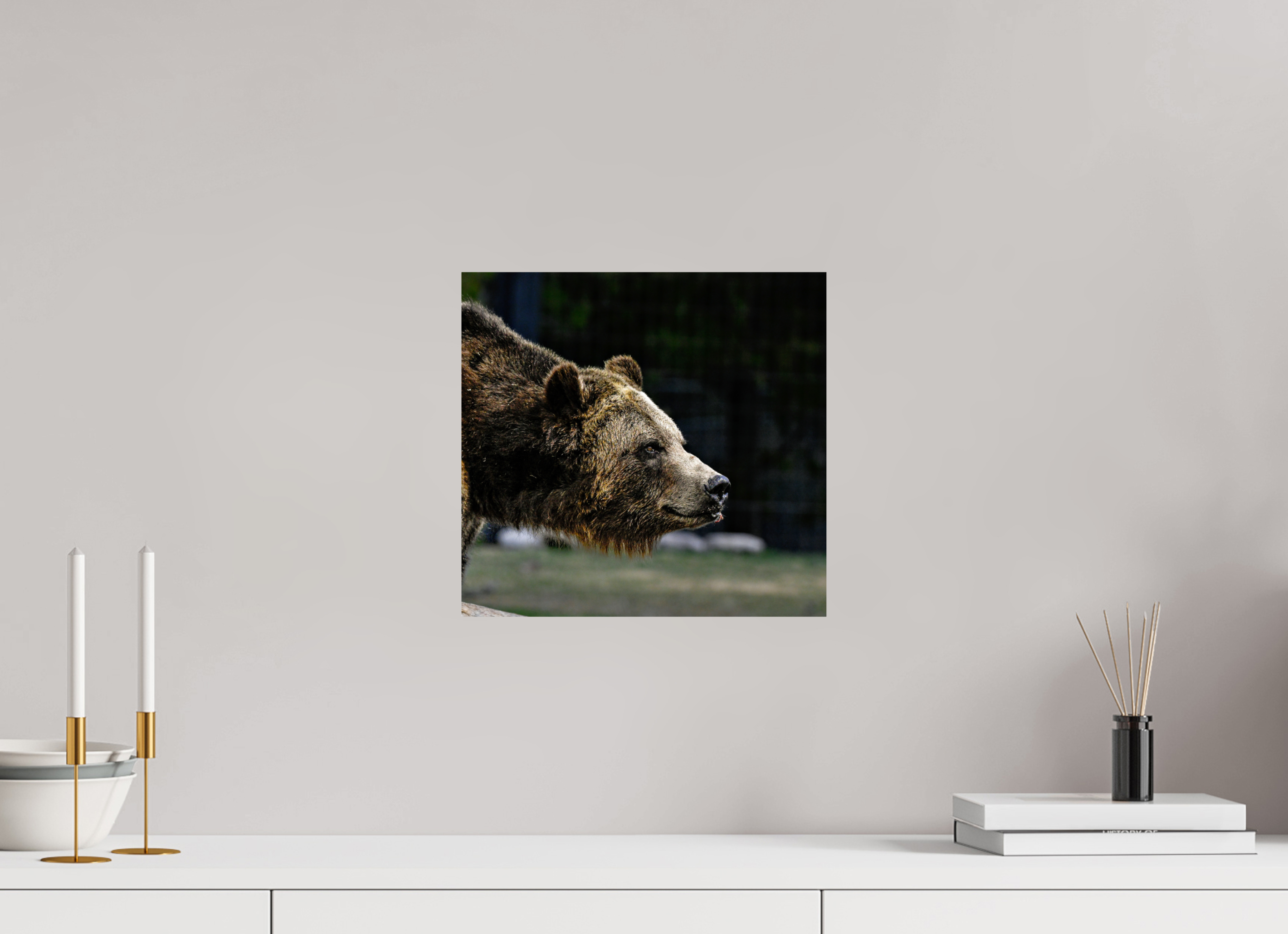 12.7 x 12″, PHOTO PAPER Bear Close Up
