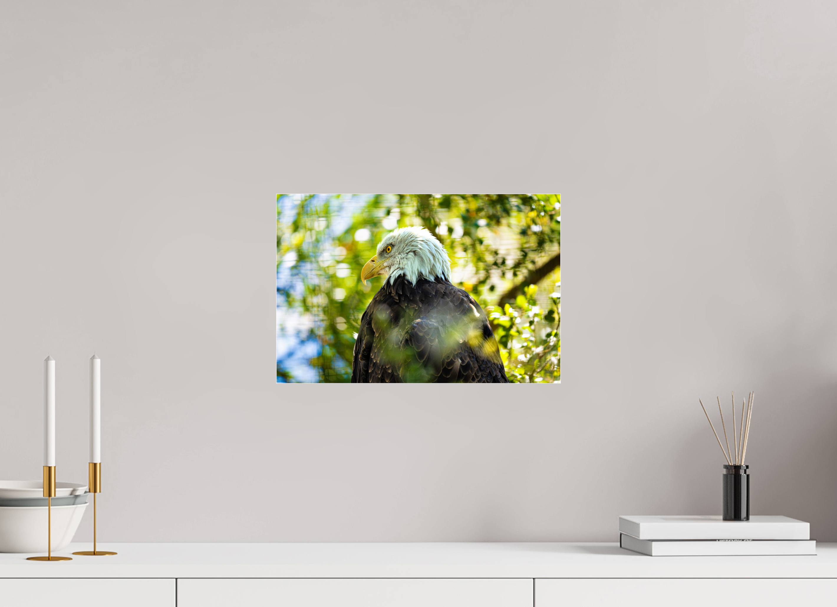 15 x 10″, ACRYLIC America 250 Bald Eagle
