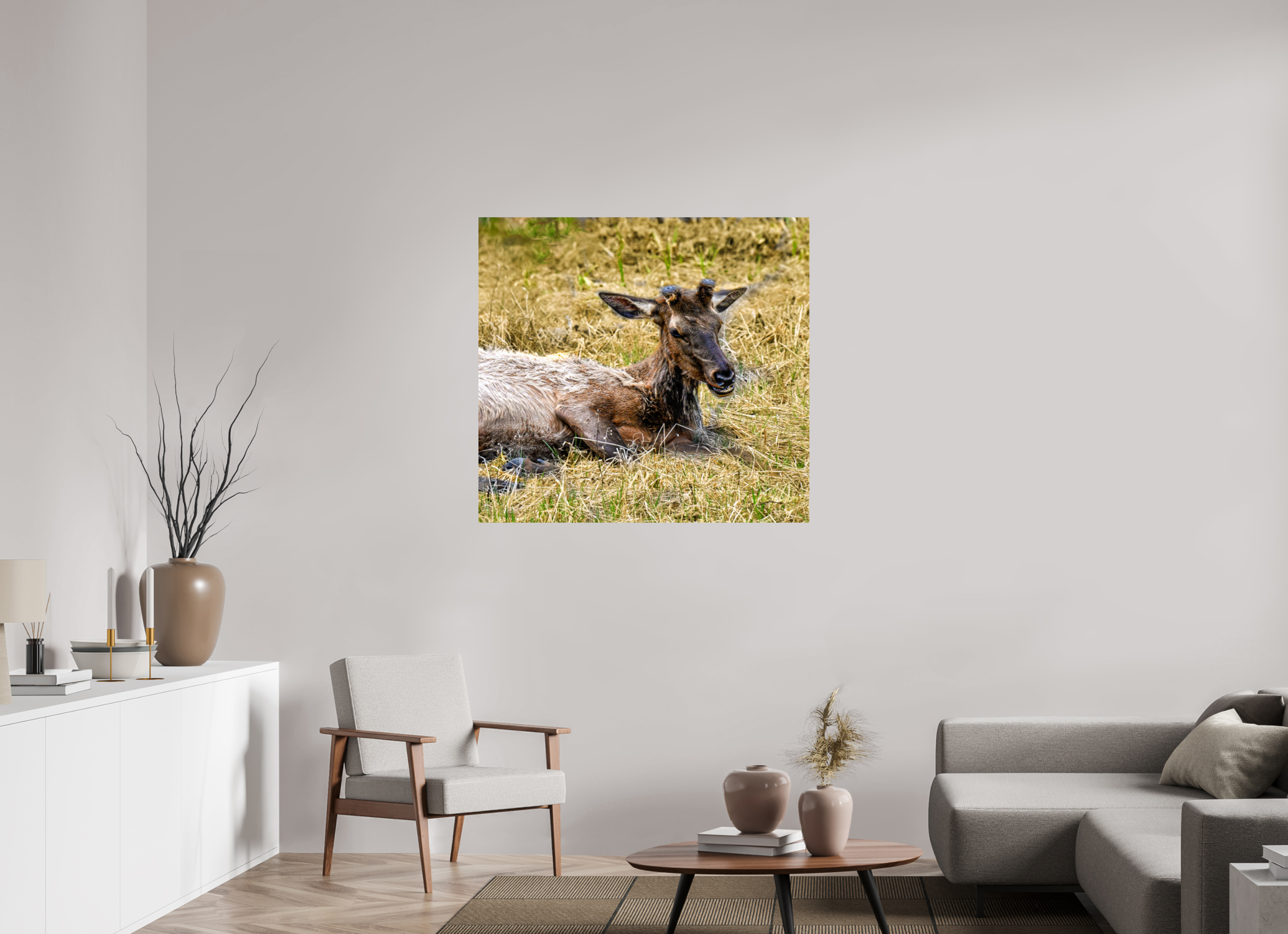42.3 x 39″, PHOTO PAPER Elk