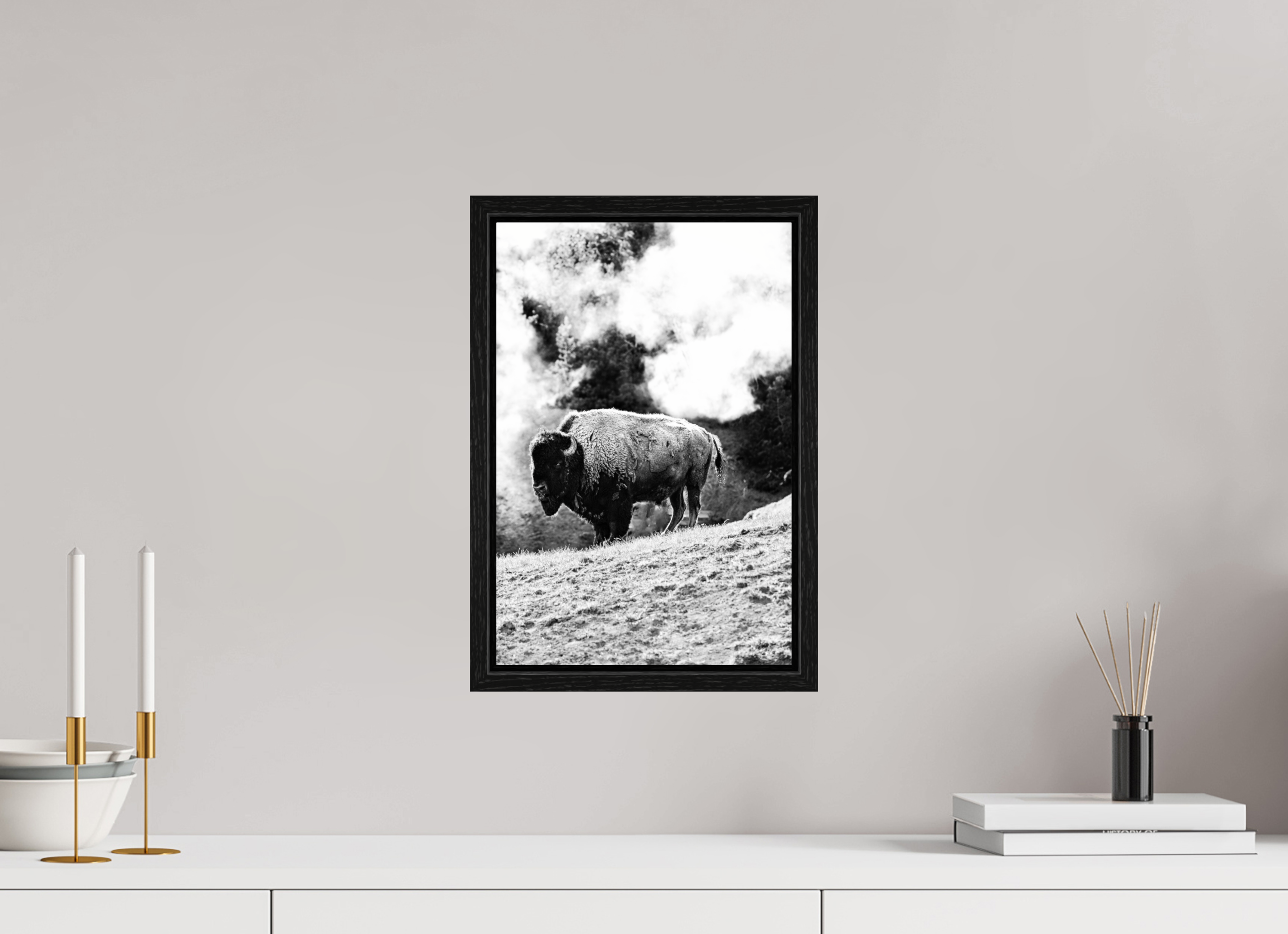 10 x 15″, Floater Frame Black and White Bison with steam background