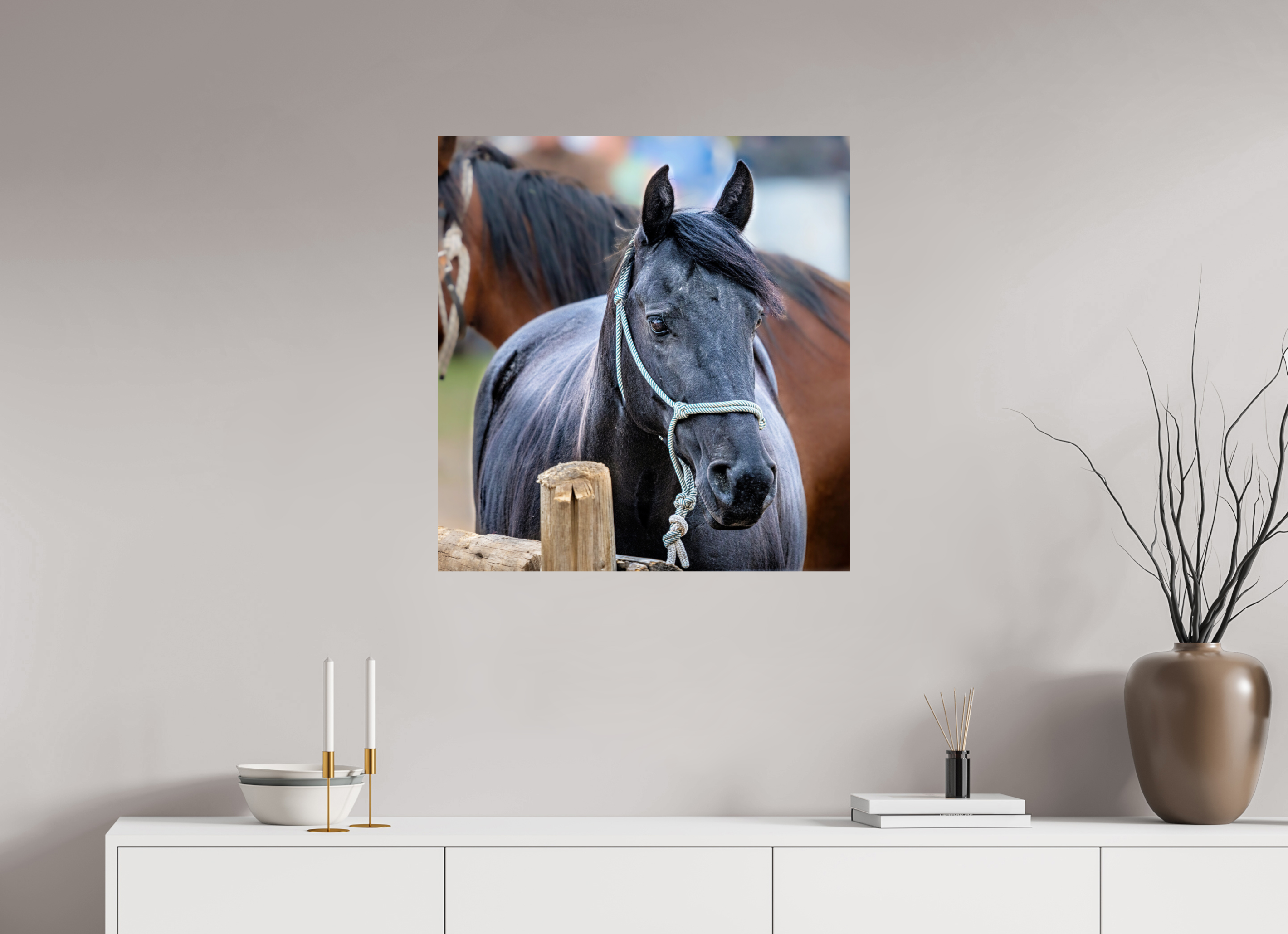 28 x 29.5″, PHOTO PAPER Pack Horse Portrait 8 Web Exclusive
