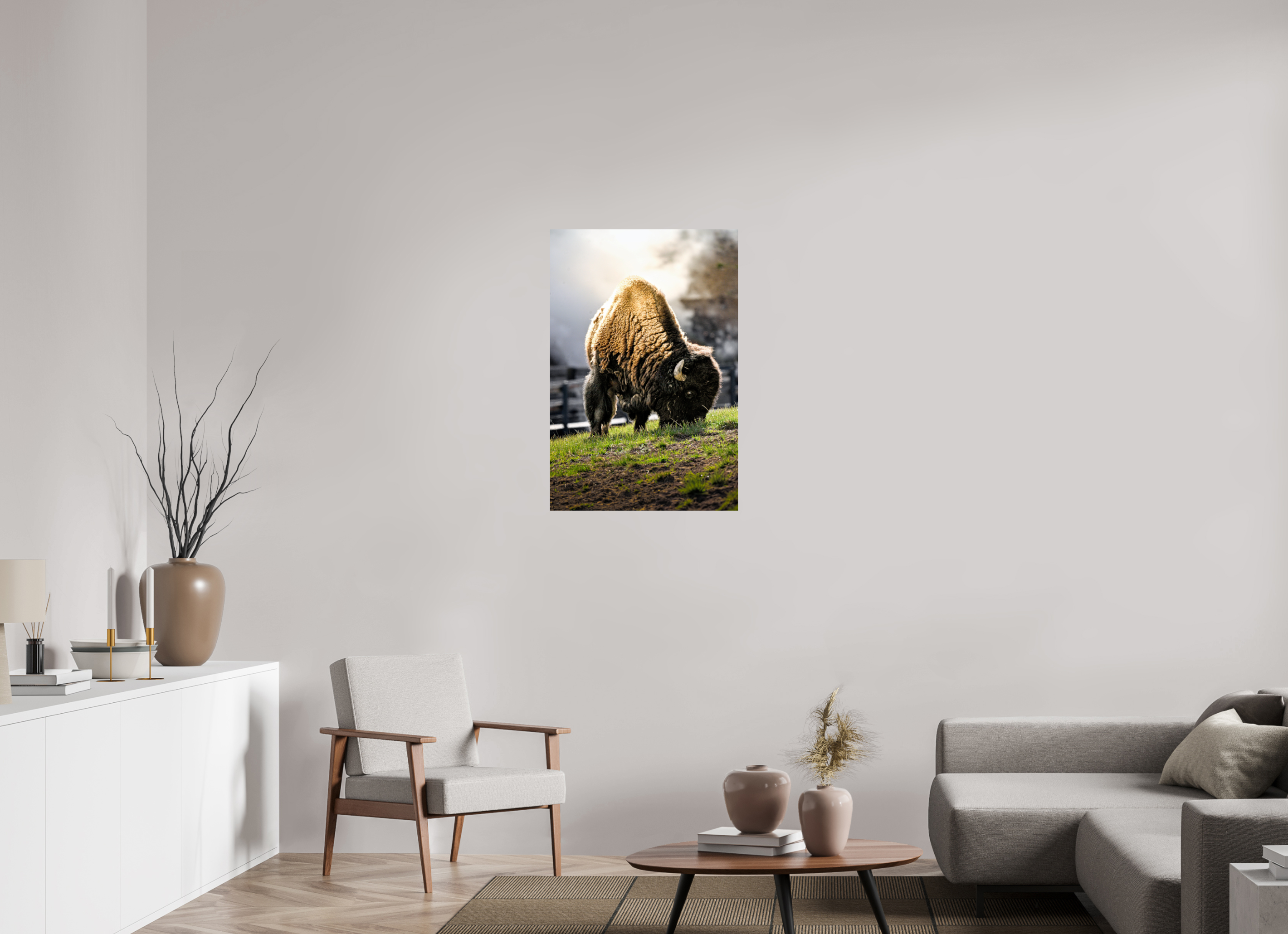 24 x 36″, PHOTO PAPER Bison Grazing