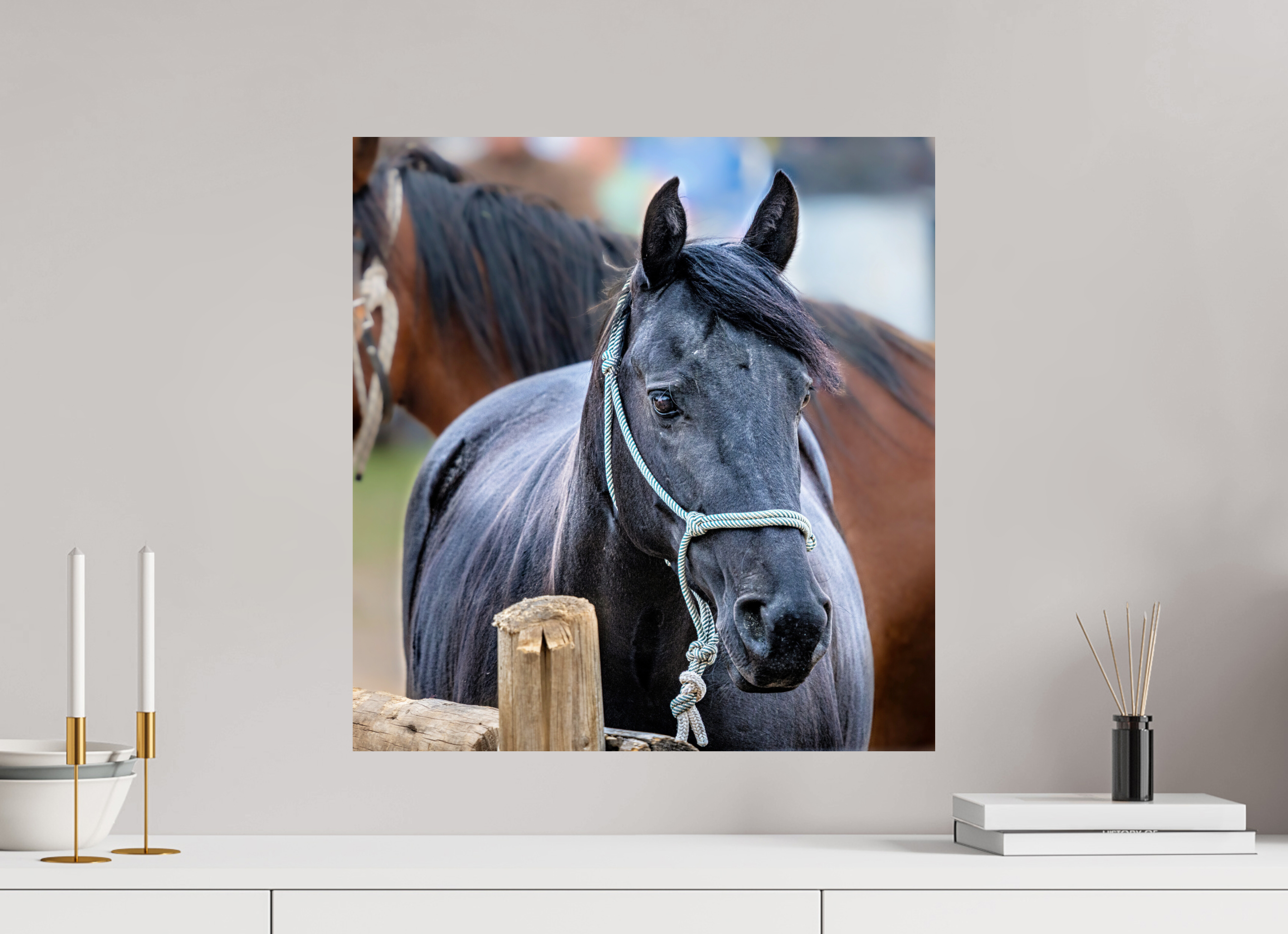 20 x 21.1″, METAL Pack Horse Portrait 8 Web Exclusive