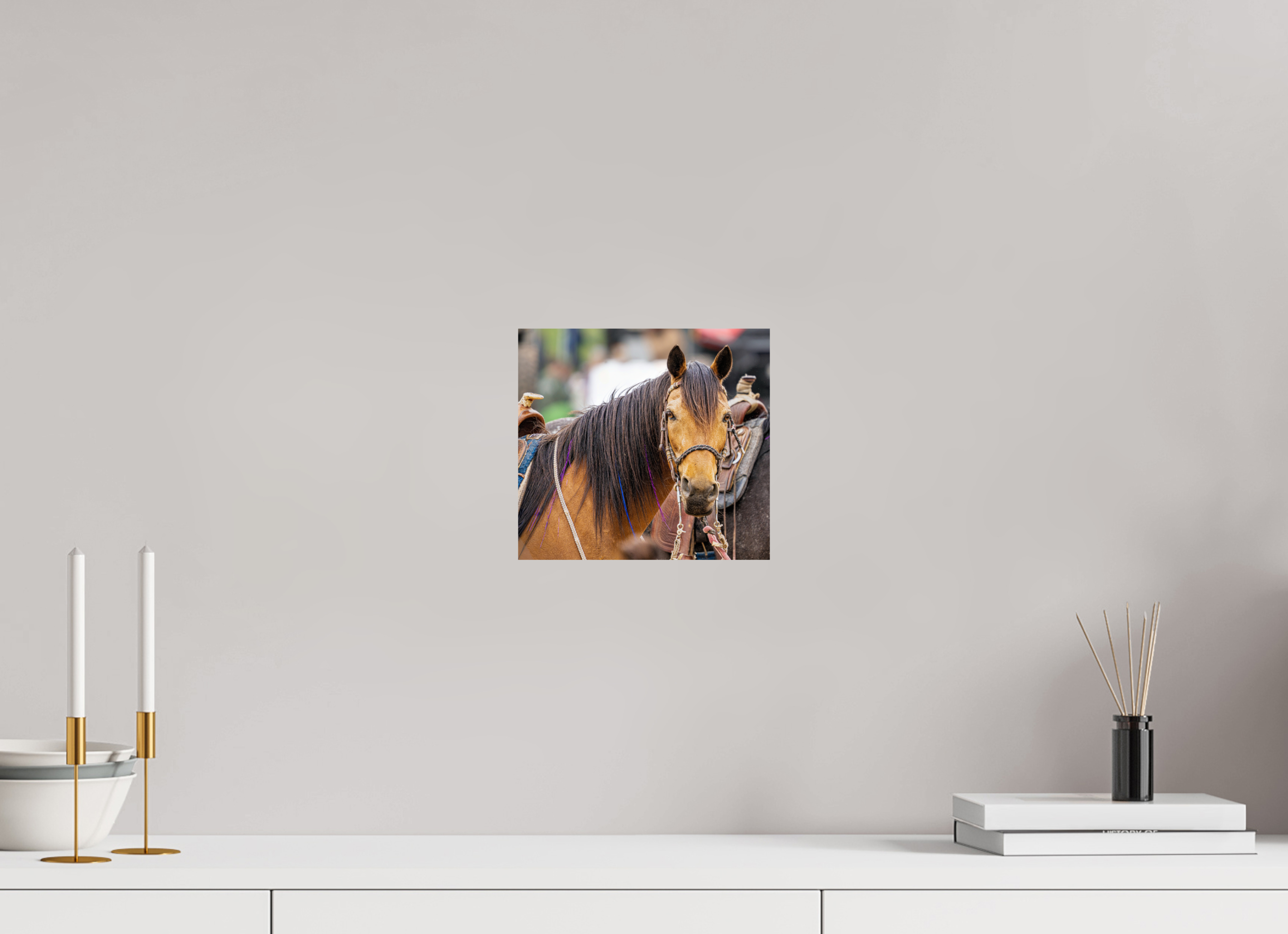 8.7 x 8″, METAL Pack Horse Portrait 11 Web Exclusive