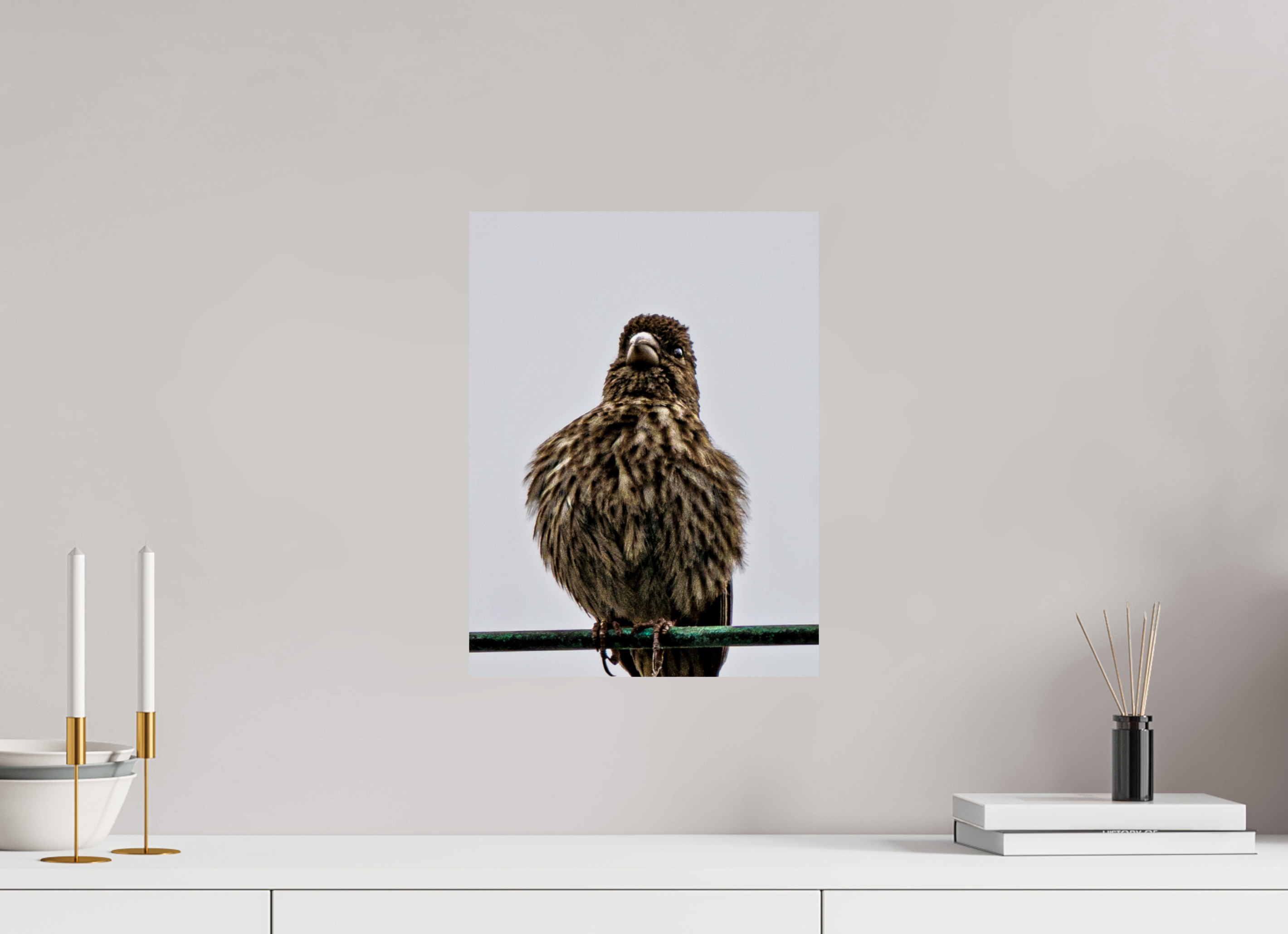 12 x 16″, METAL Bird