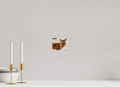 5.2 x 4″, PHOTO PAPER Haunting Fox