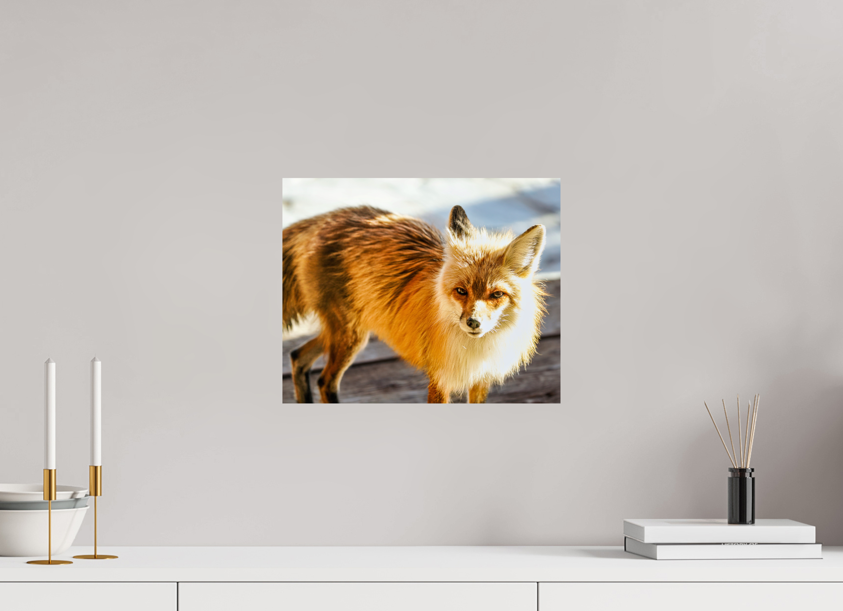 14.8 x 12″, PHOTO PAPER Fox