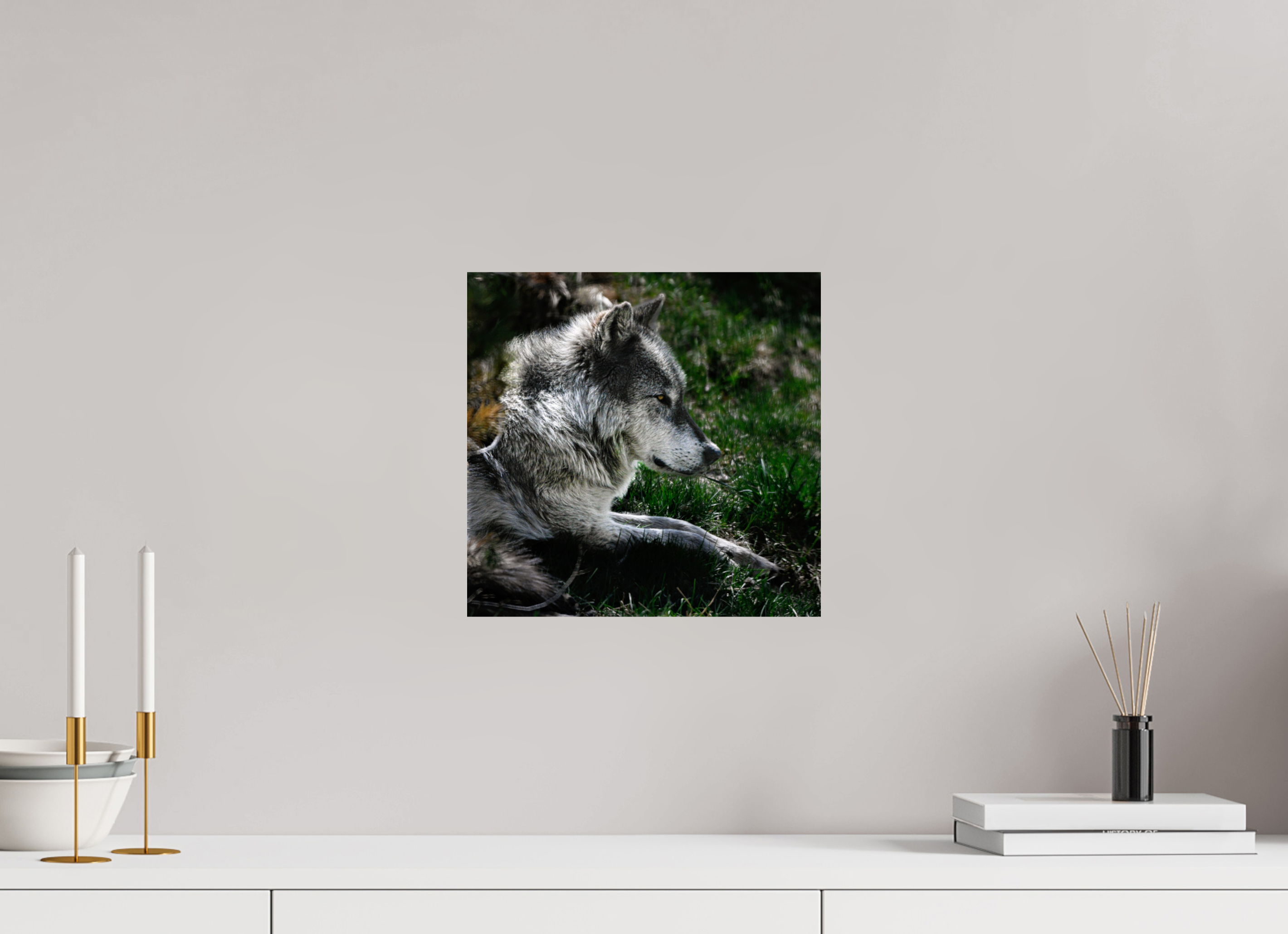 12.3 x 12″, PHOTO PAPER Wolf Side Profile
