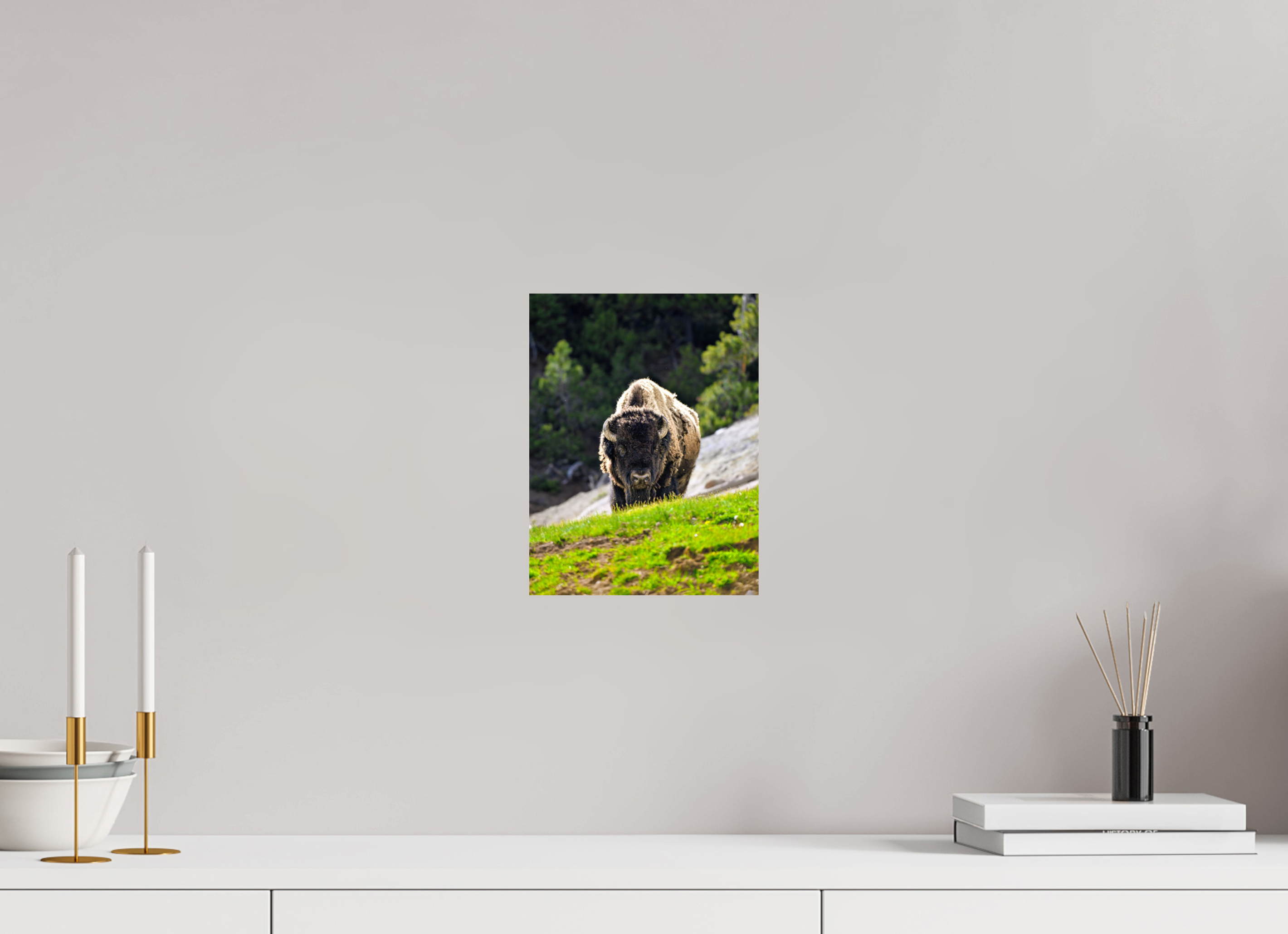 8 x 10.5″, PHOTO PAPER Bison Portrait