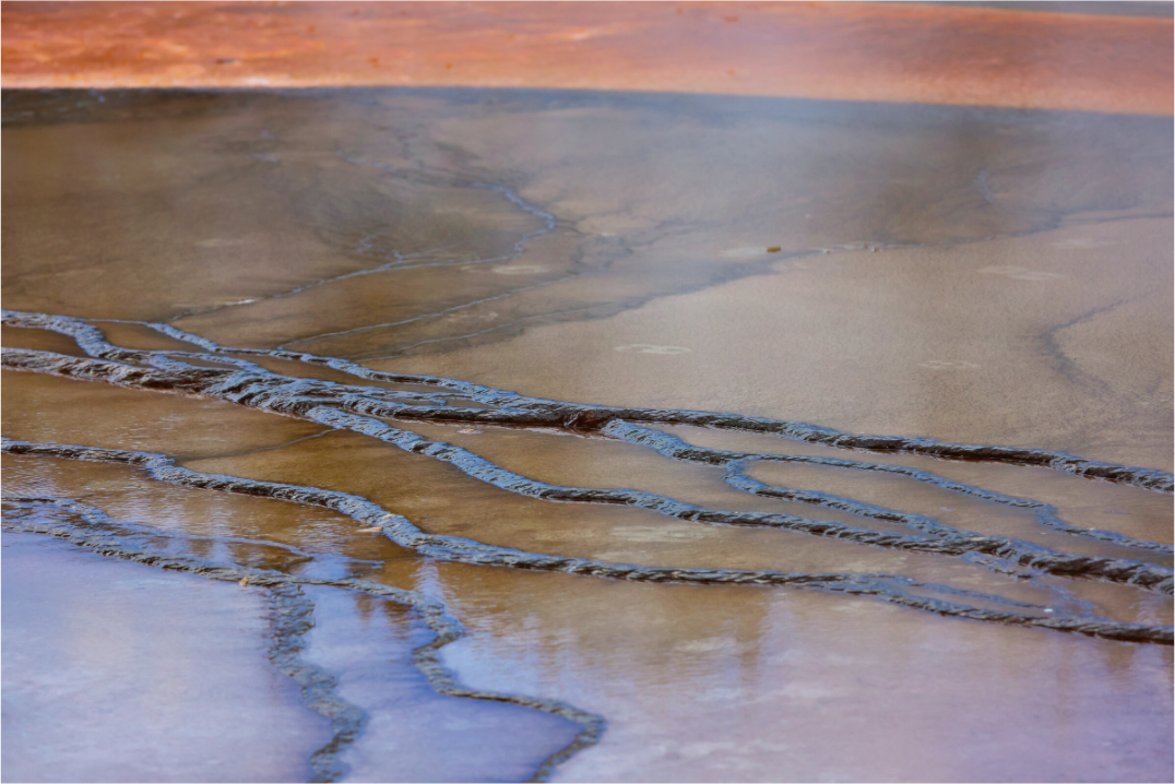 Main image Yellowstone