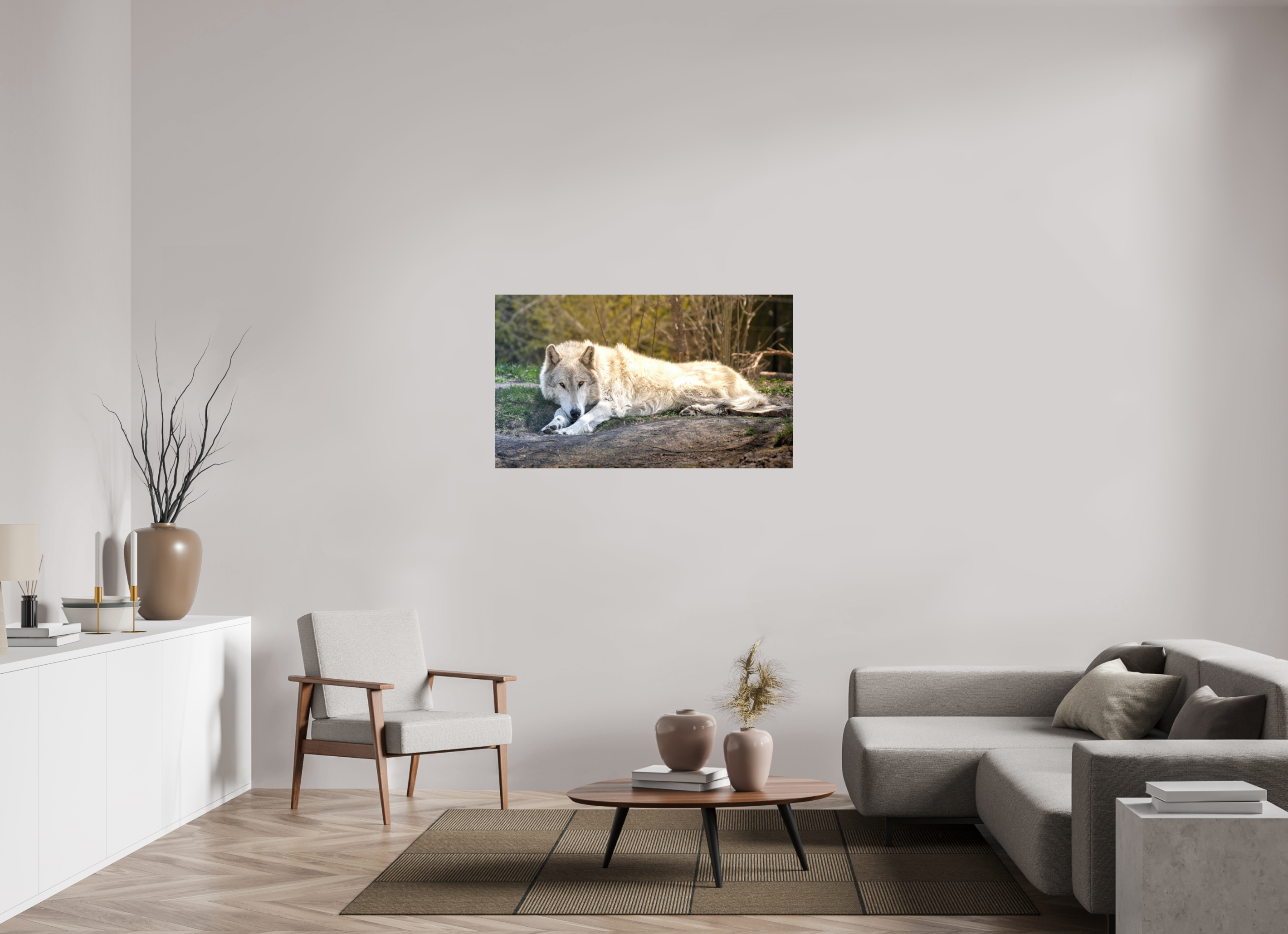 48 x 28″, PHOTO PAPER Wolf Laying Down