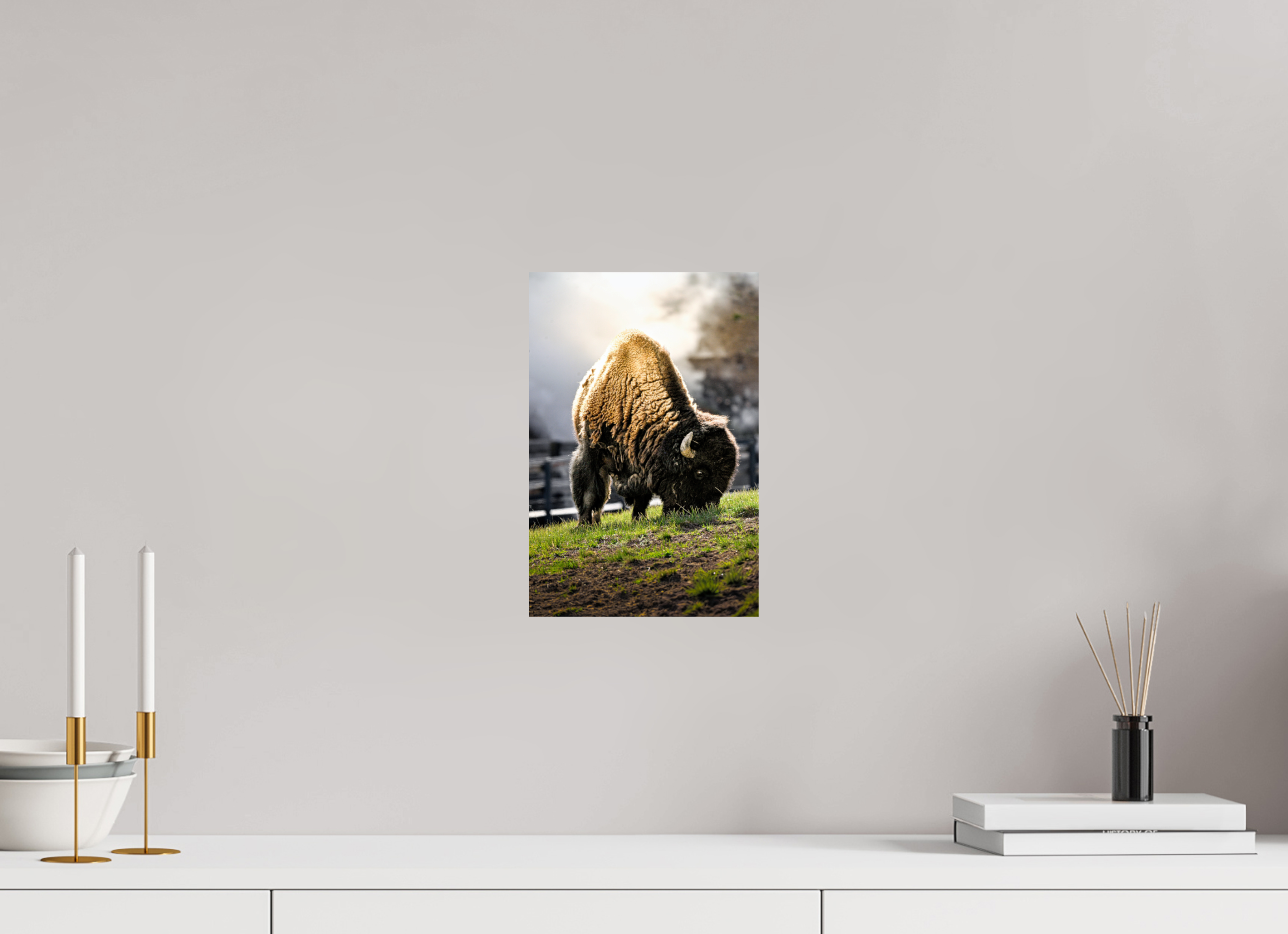 8 x 12″, PHOTO PAPER Bison Grazing