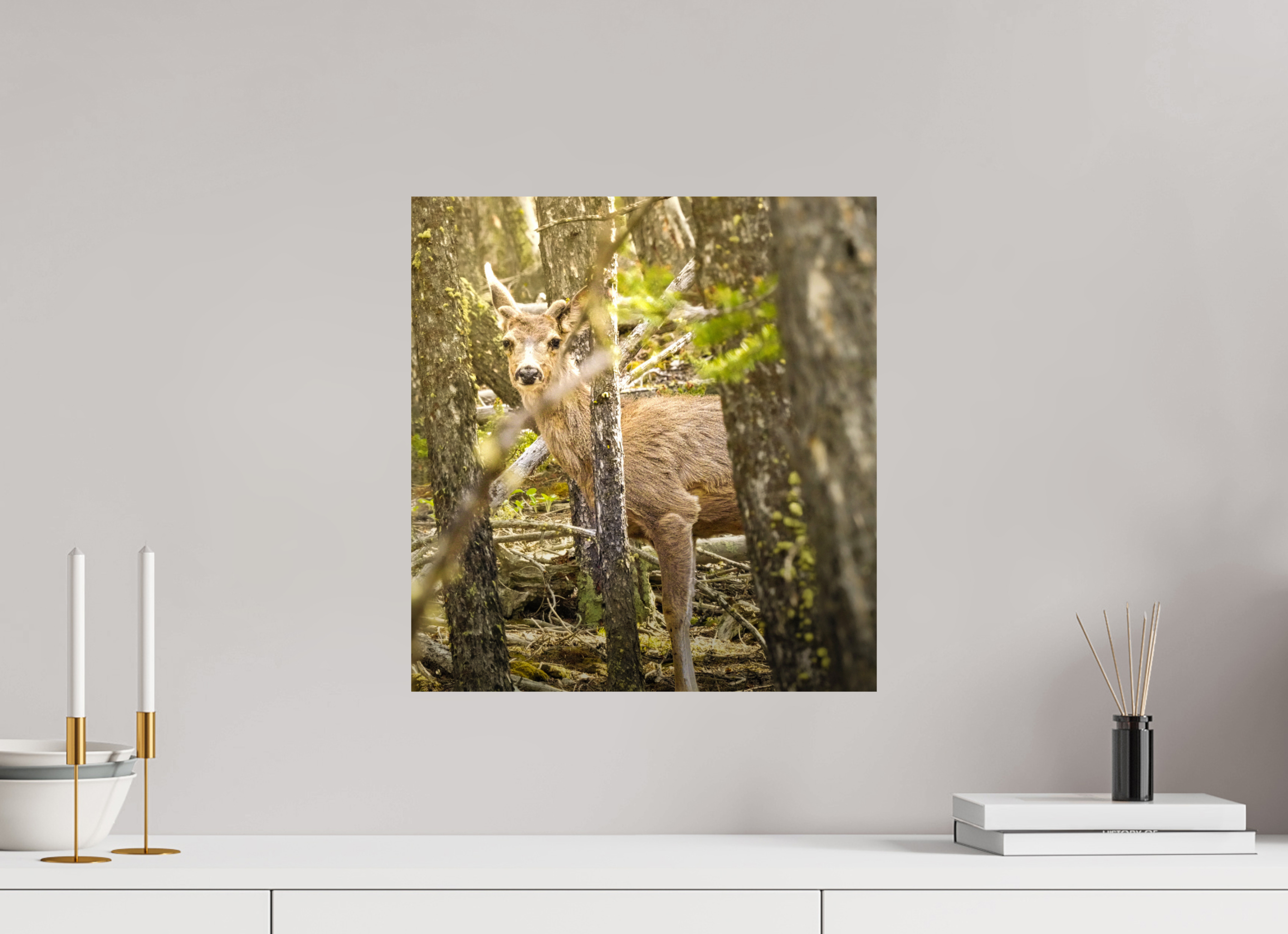 16 x 17″, METAL Deer