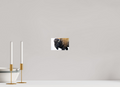 6 x 4″, PHOTO PAPER Bison Side eye