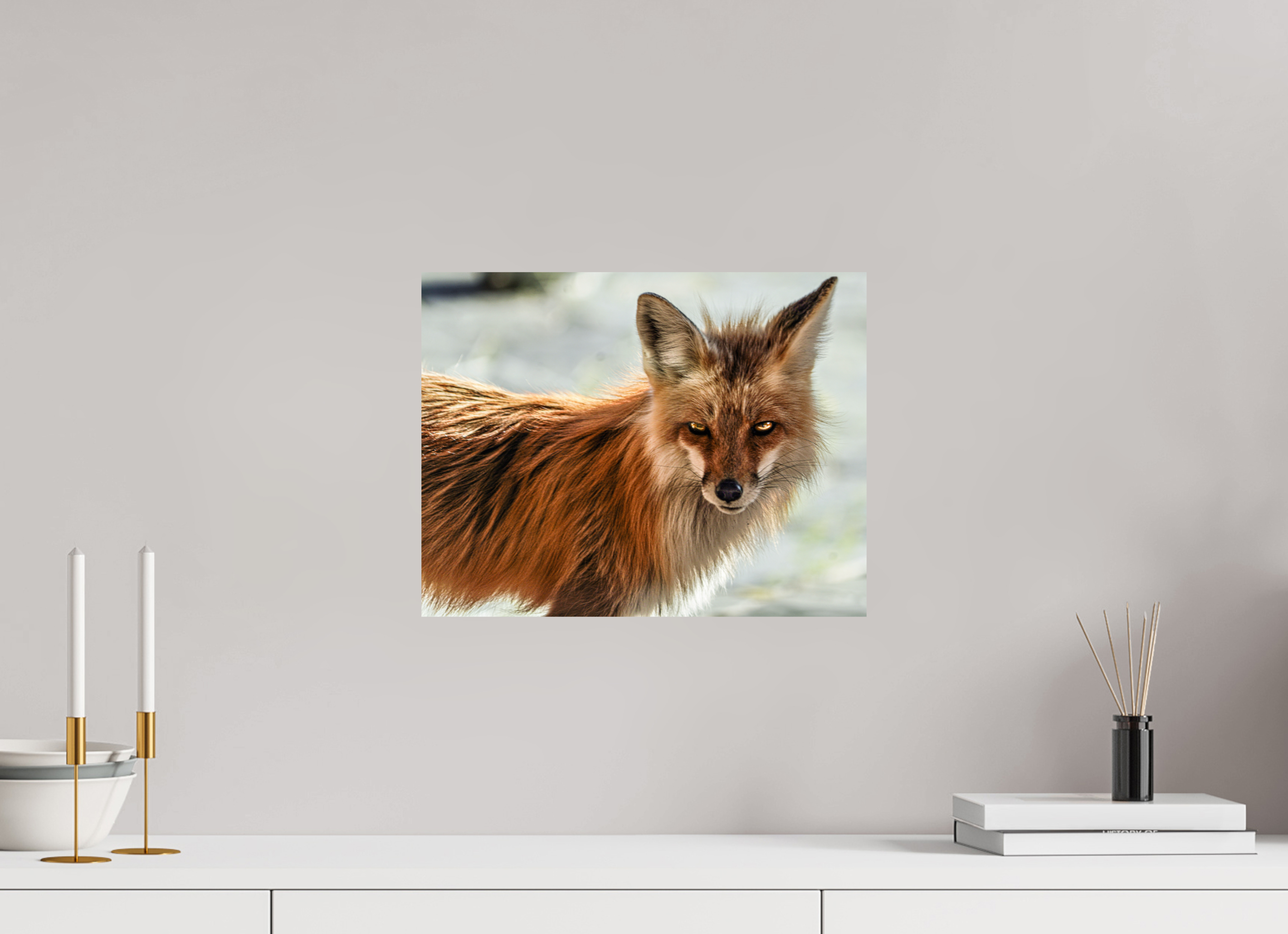 15.5 x 12″, PHOTO PAPER Haunting Fox