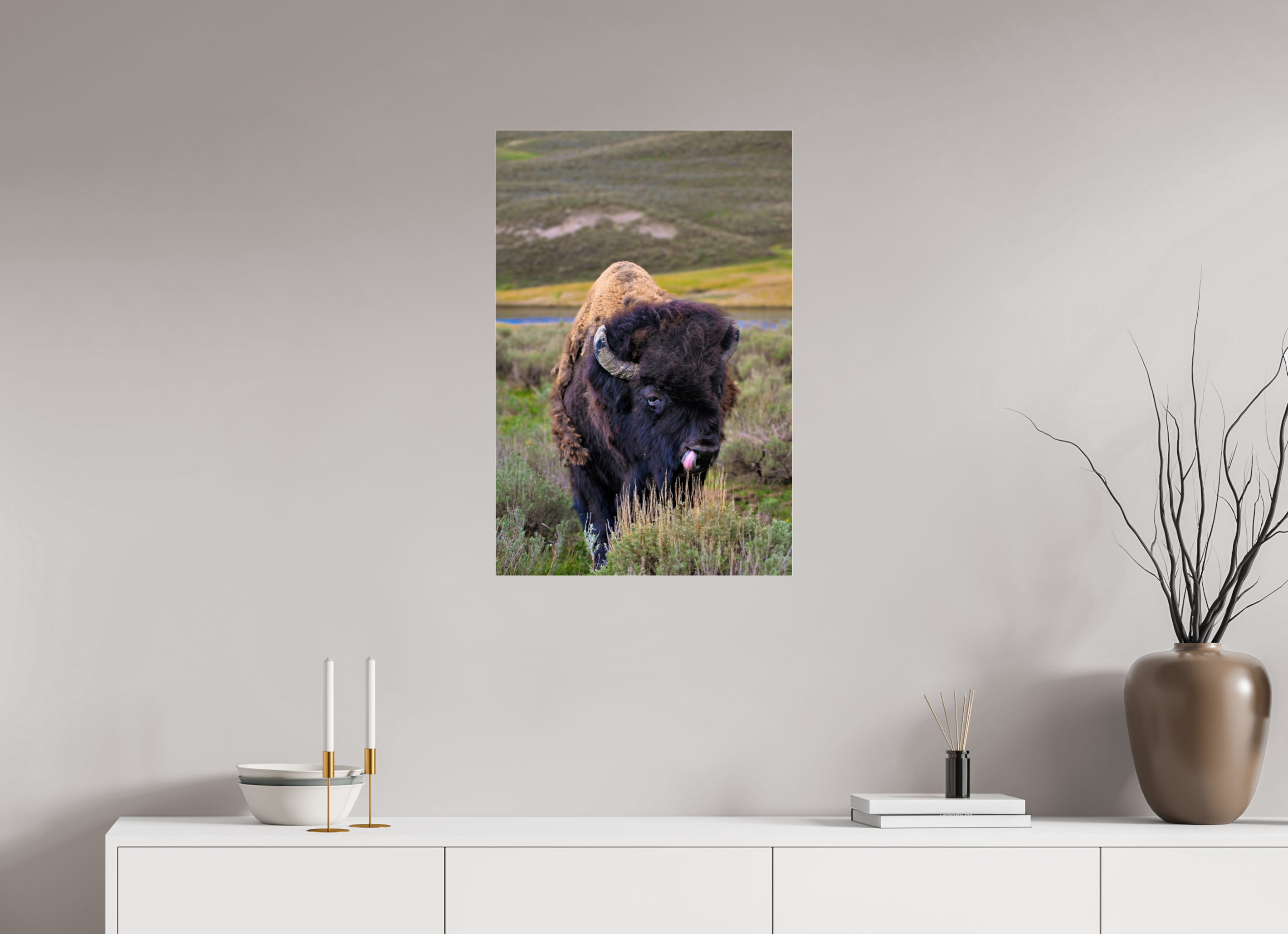 20 x 30″, ACRYLIC Bison with Tongue