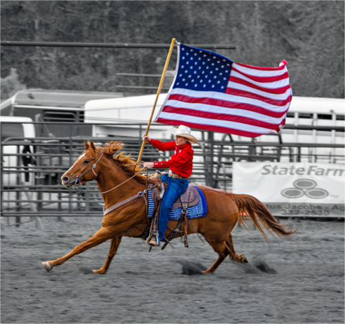 Main image America 250 Flag Rider 13