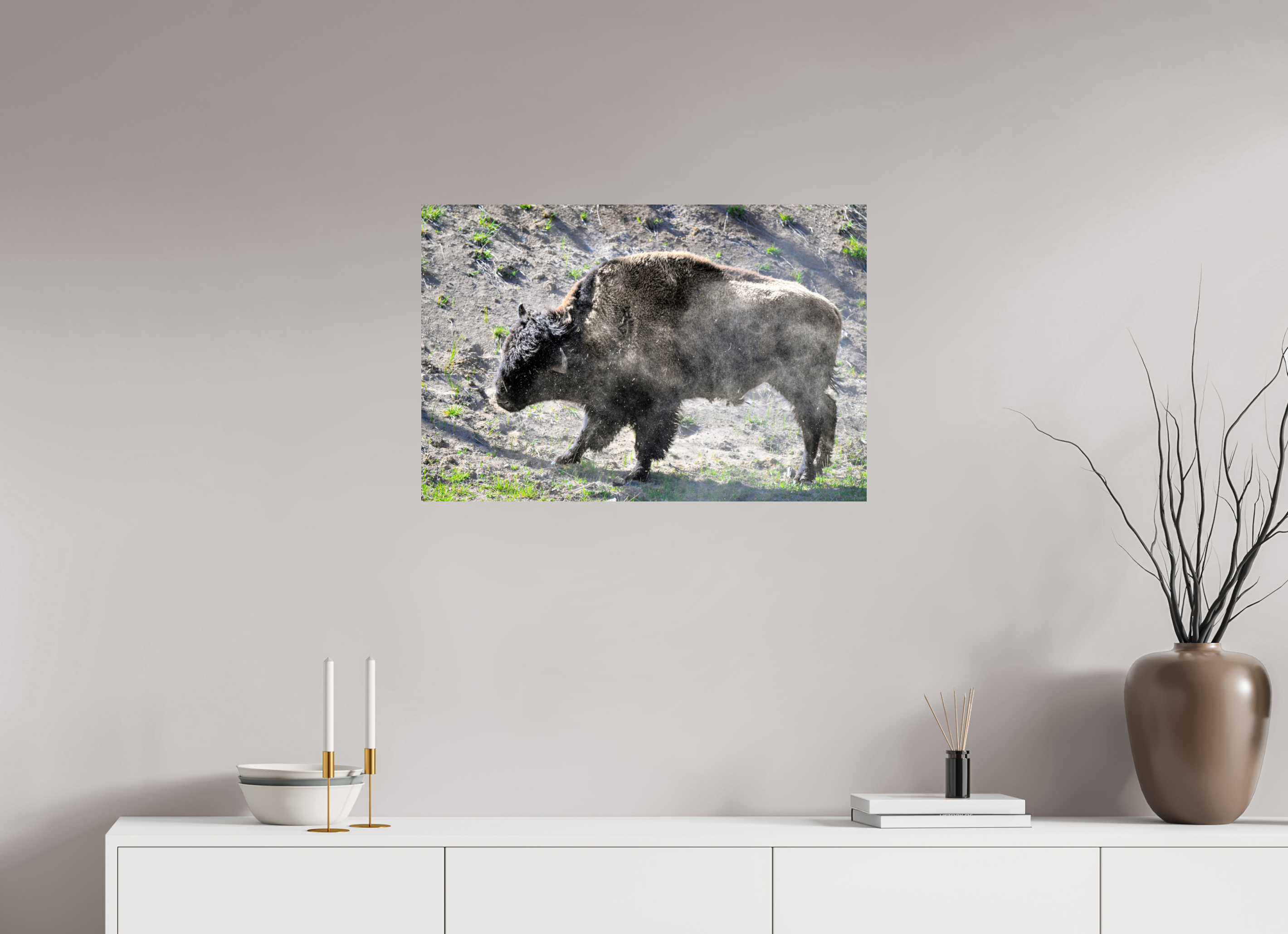 30 x 20″, METAL Bison Shake