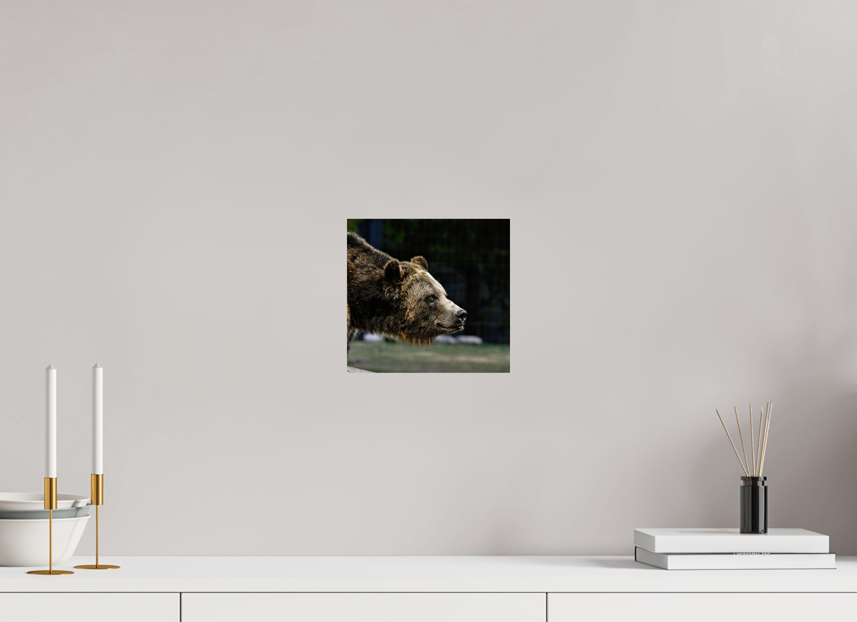8.5 x 8″, METAL Bear Close Up