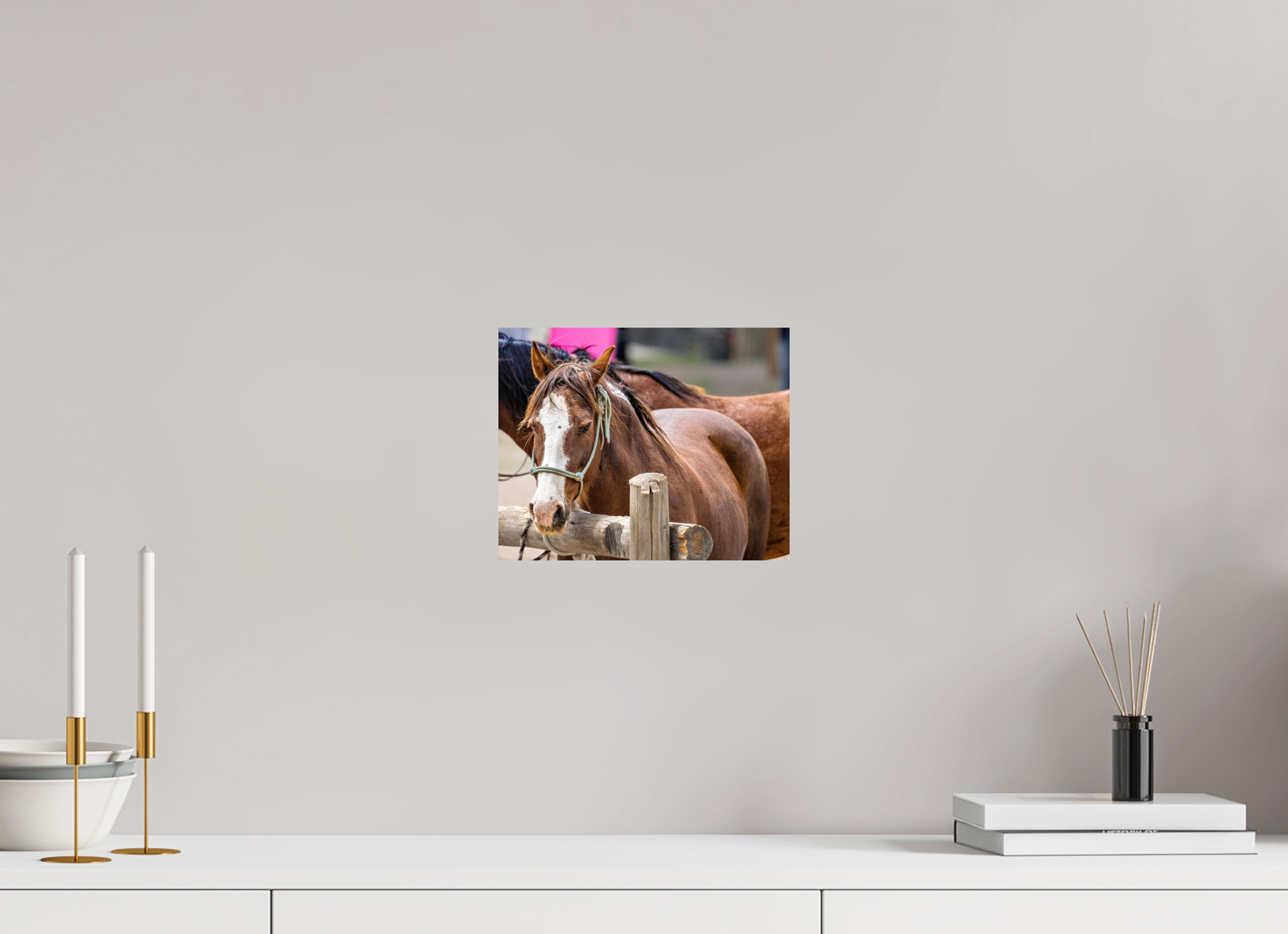 10 x 8″, METAL Pack Horse Portrait 12 Web Exclusive