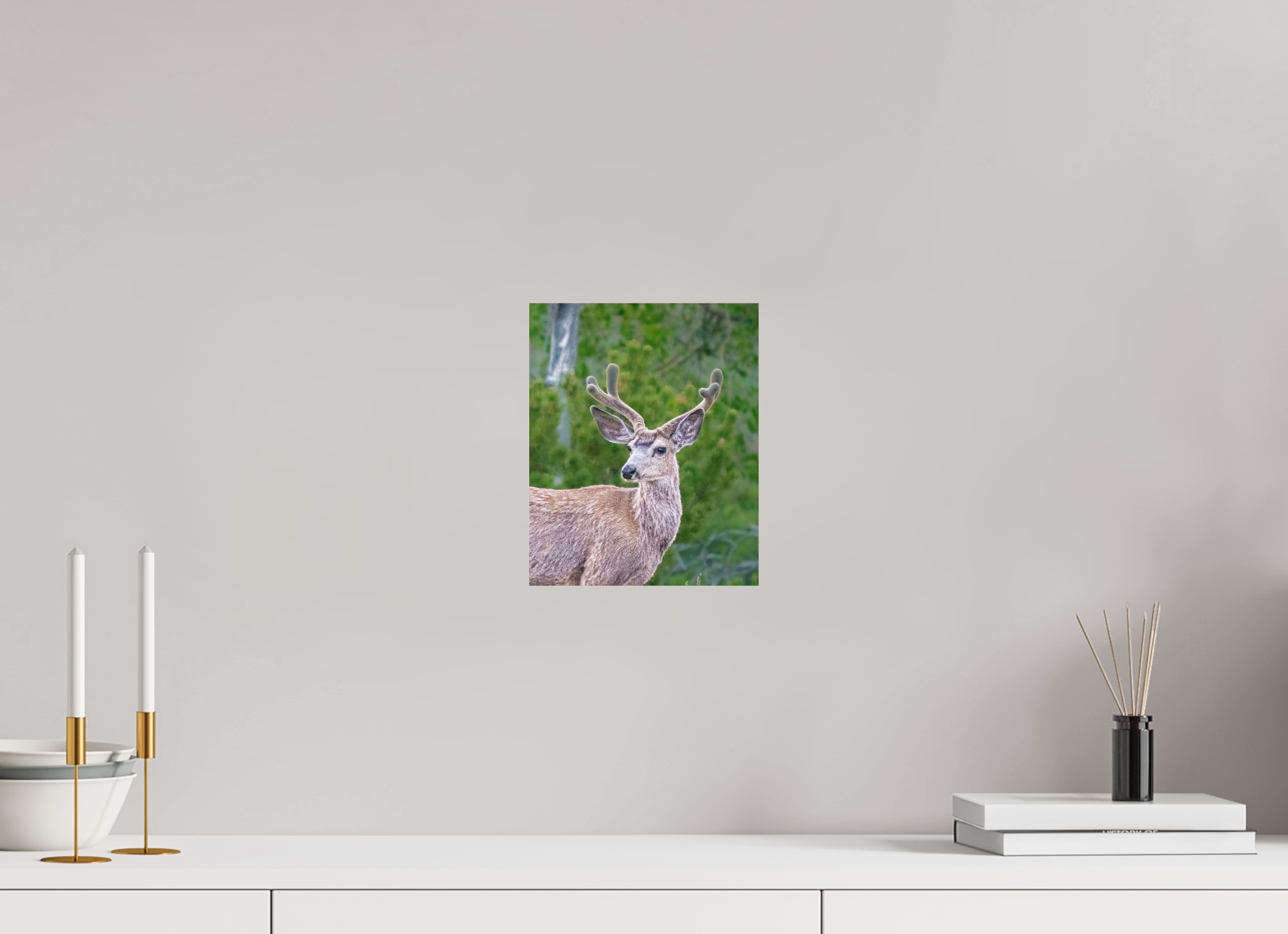 8 x 9.8″, PHOTO PAPER Deer
