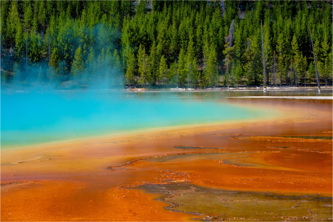 Main image Yellowstone