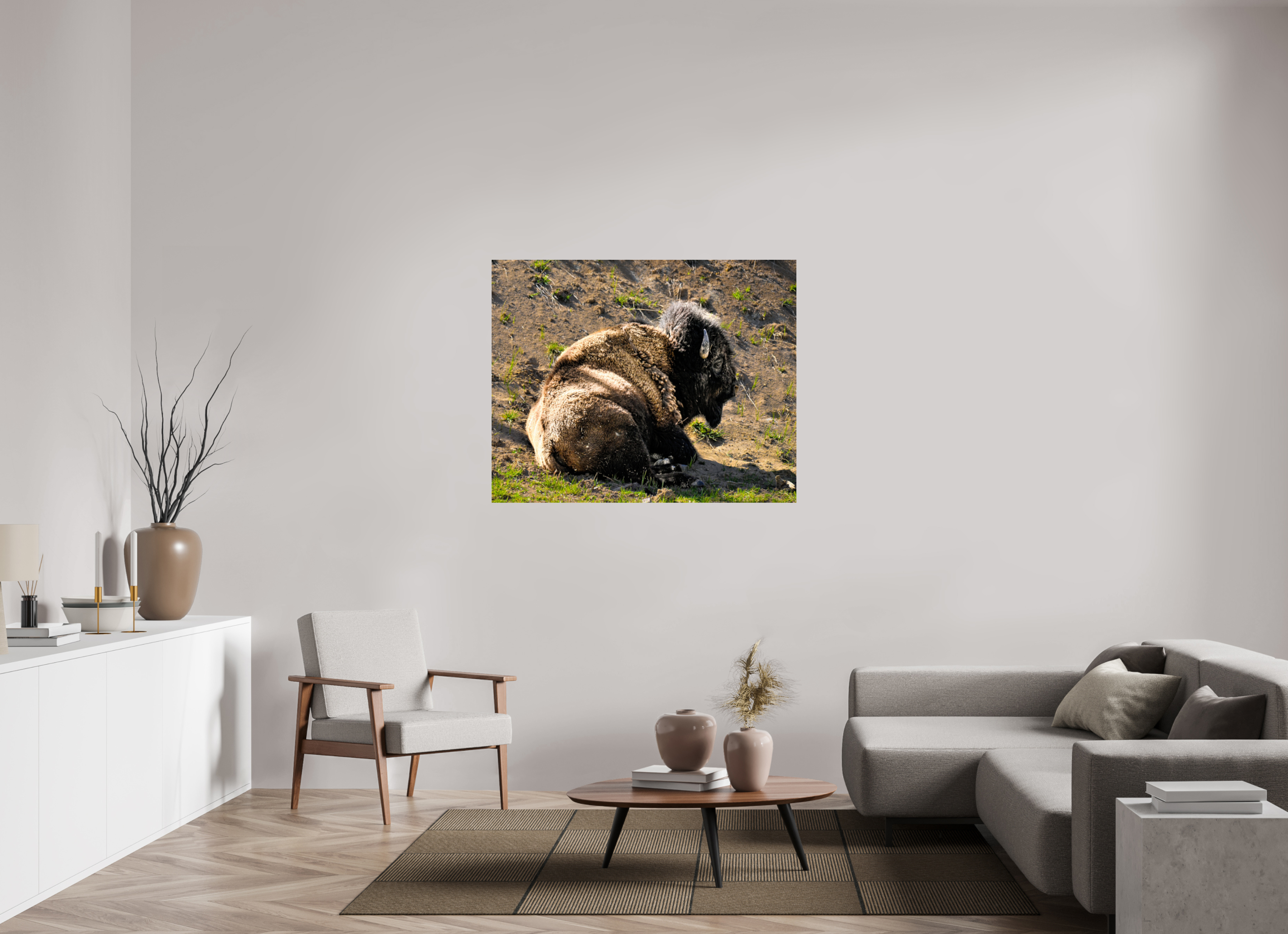 48.9 x 39″, METAL Bison Laying Down