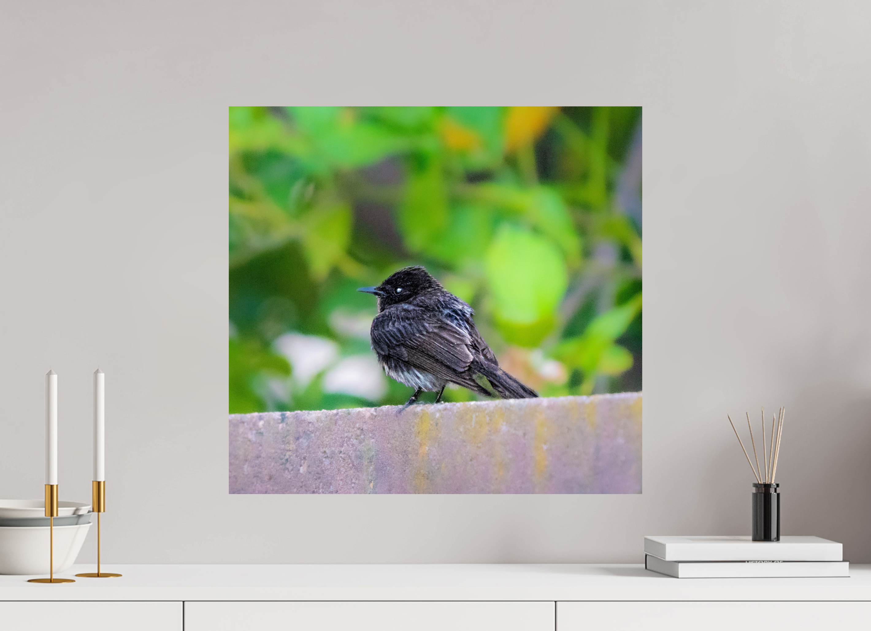 21.3 x 20″, PHOTO PAPER Bird