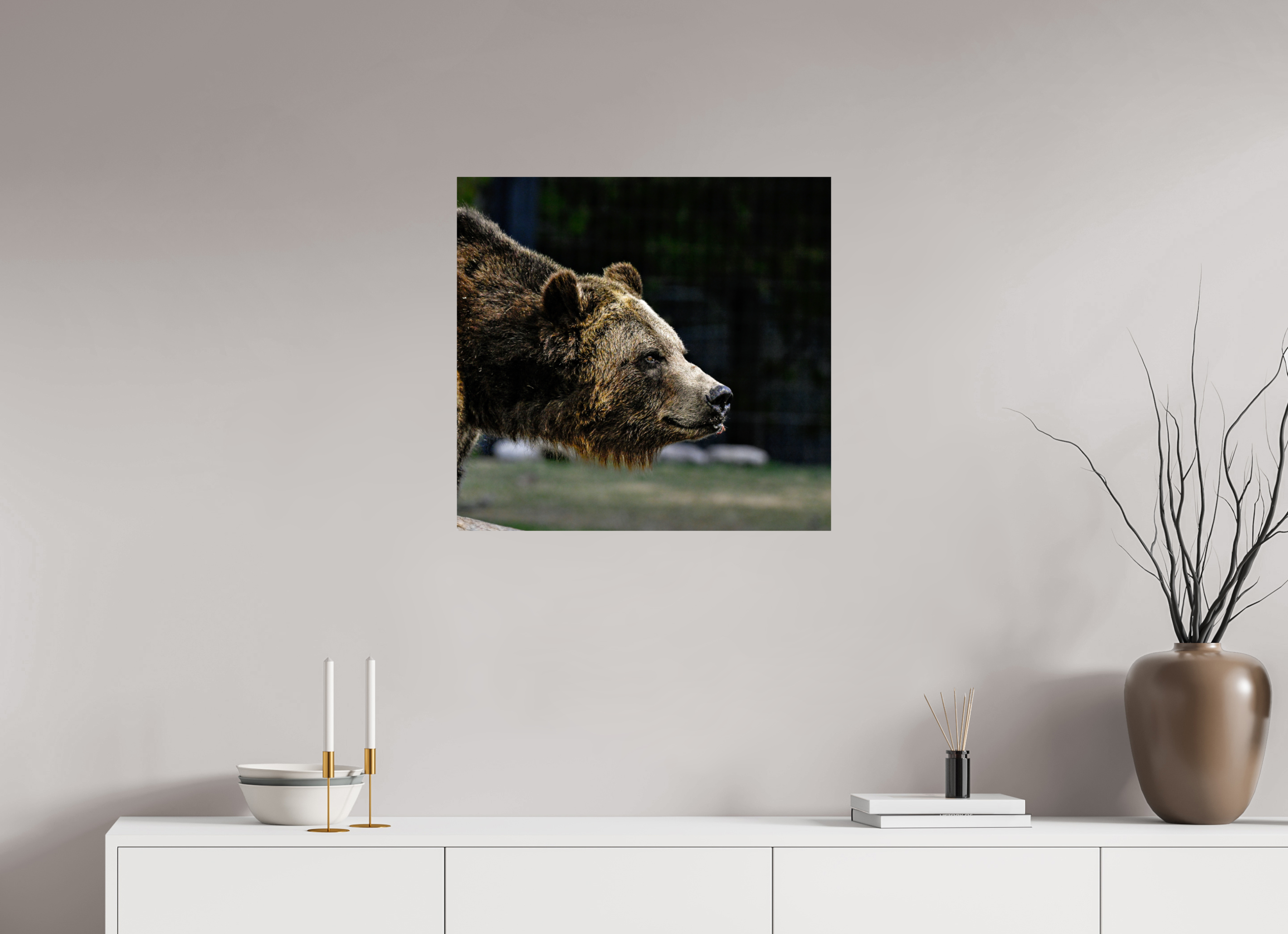 25.4 x 24″, PHOTO PAPER Bear Close Up