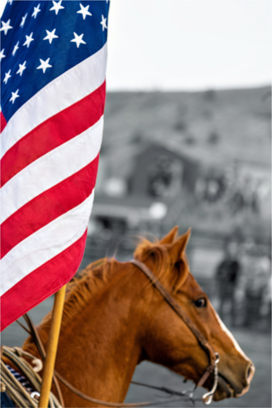 Main image America 250 Flag Rider 4