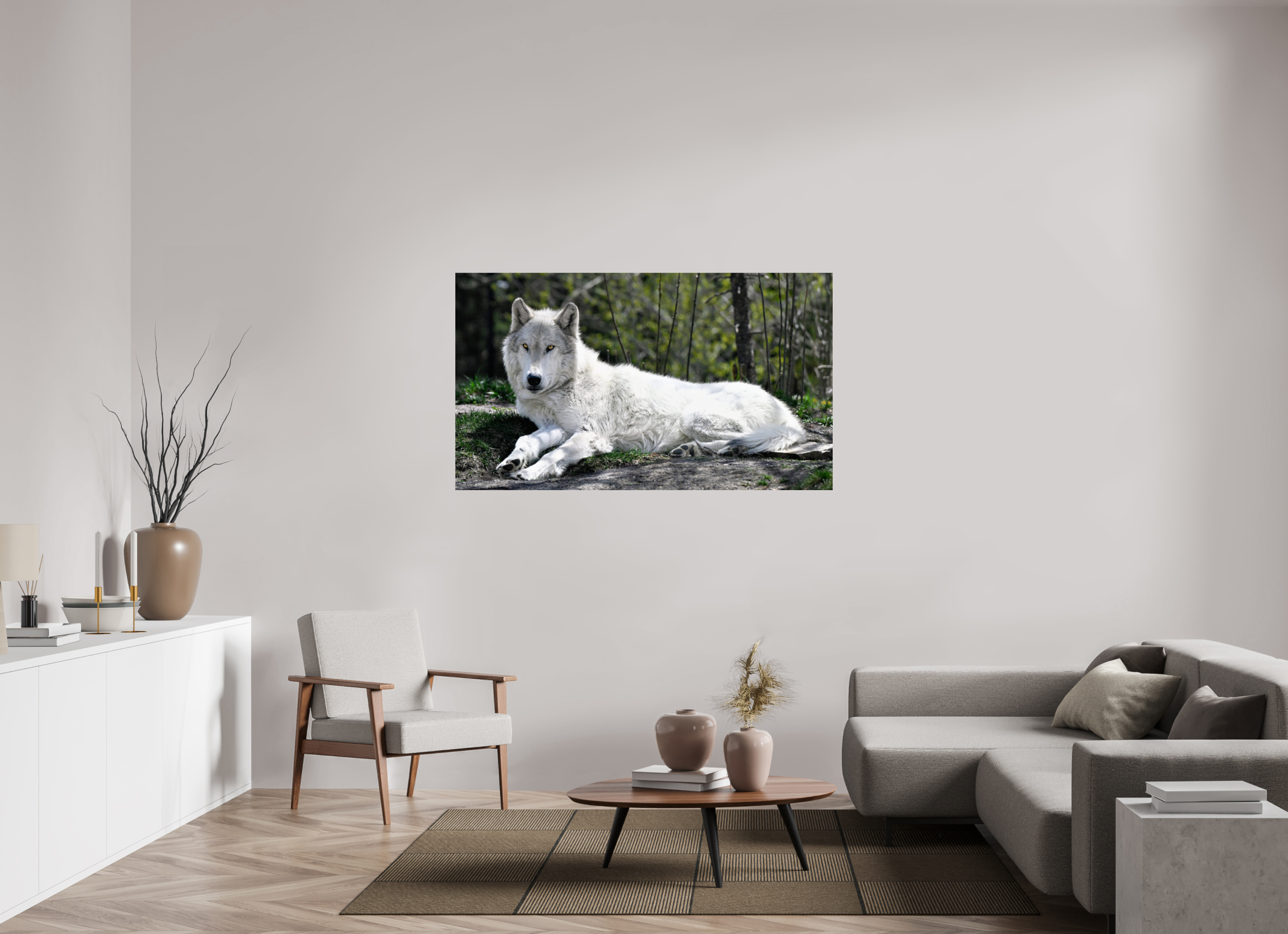60.8 x 35″, PHOTO PAPER Wolf Laying Down
