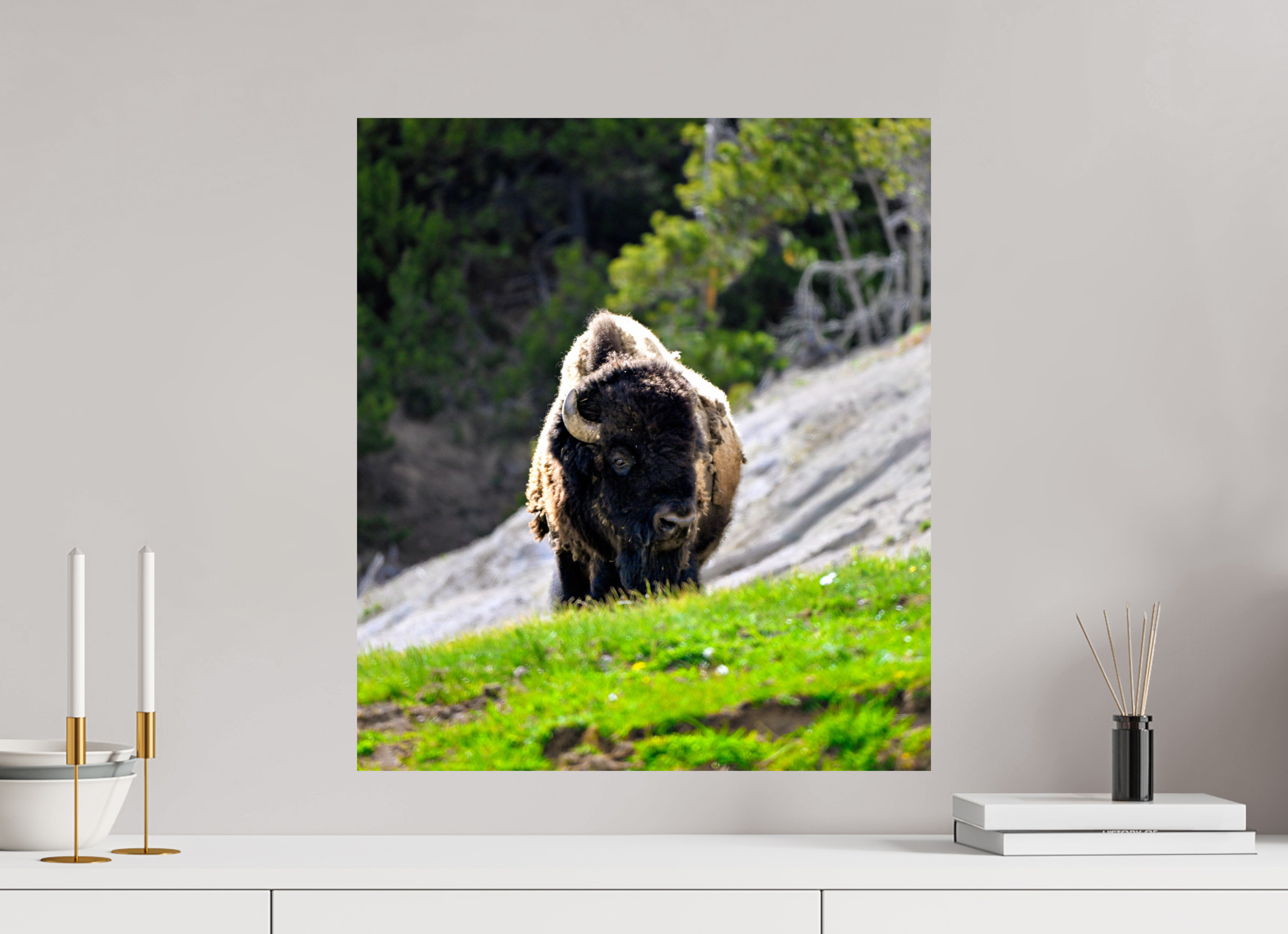 20 x 22.8″, PHOTO PAPER Bison Portrait