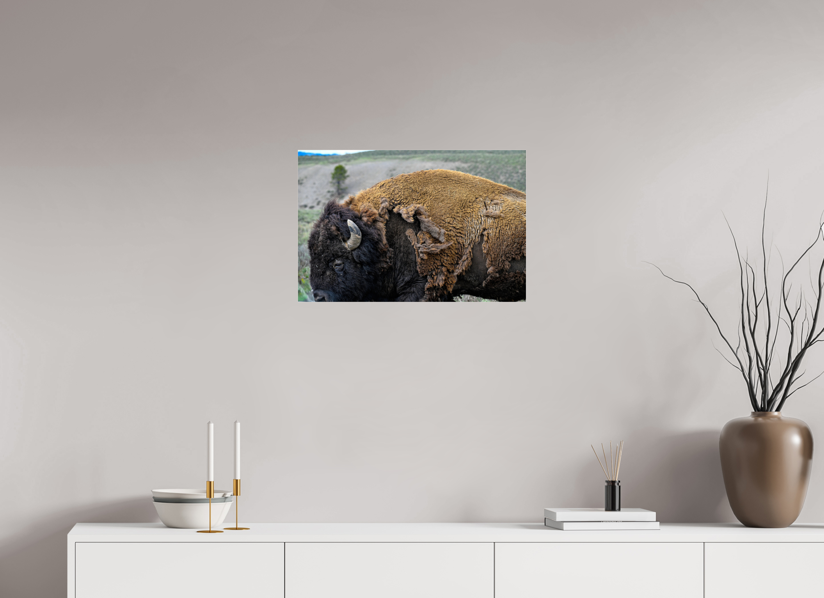 24 x 16″, ACRYLIC Bison side profile