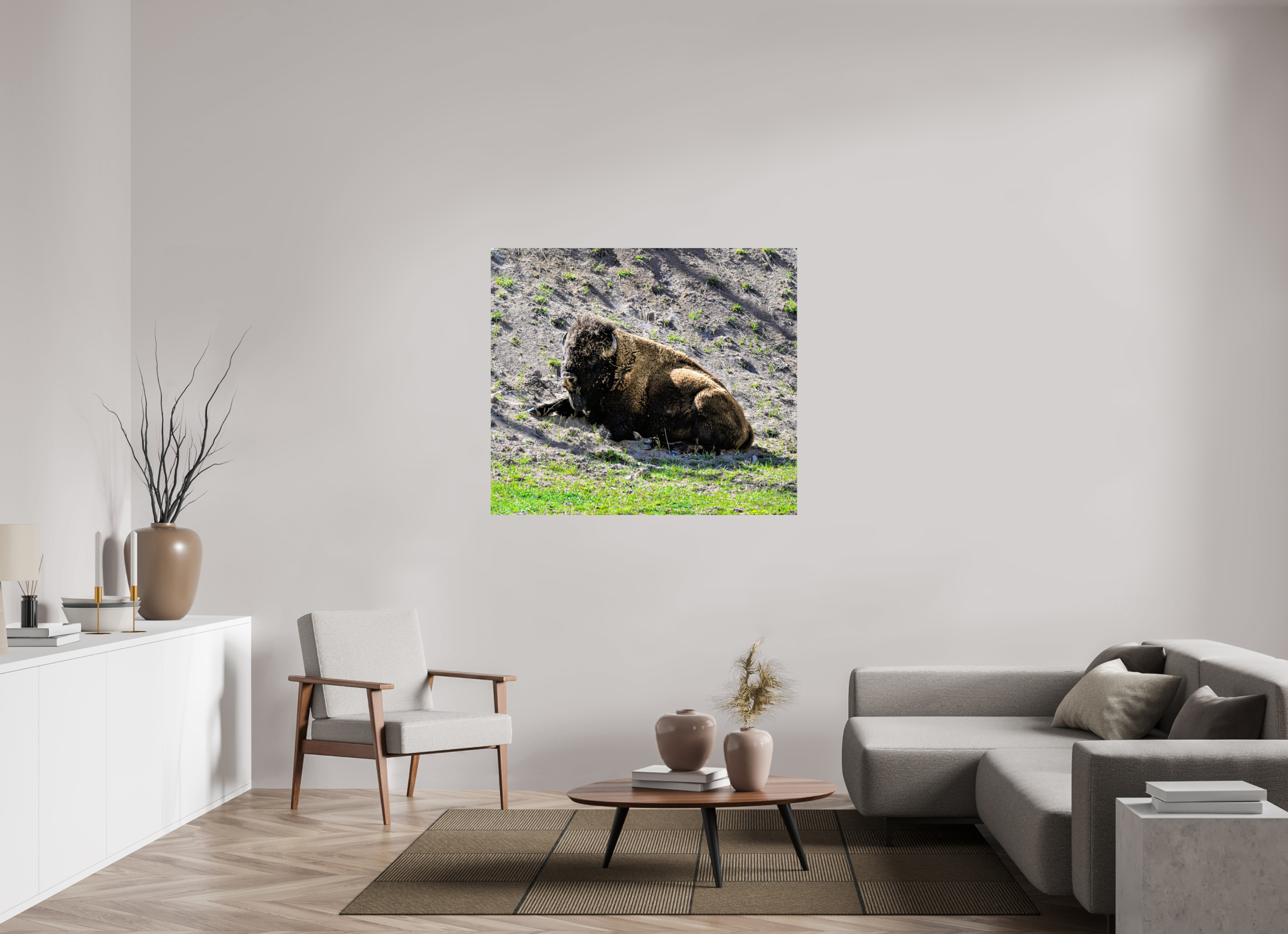 49.3 x 43″, PHOTO PAPER Bison Laying Down