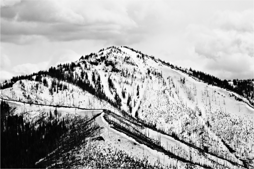 Main image Yellowstone