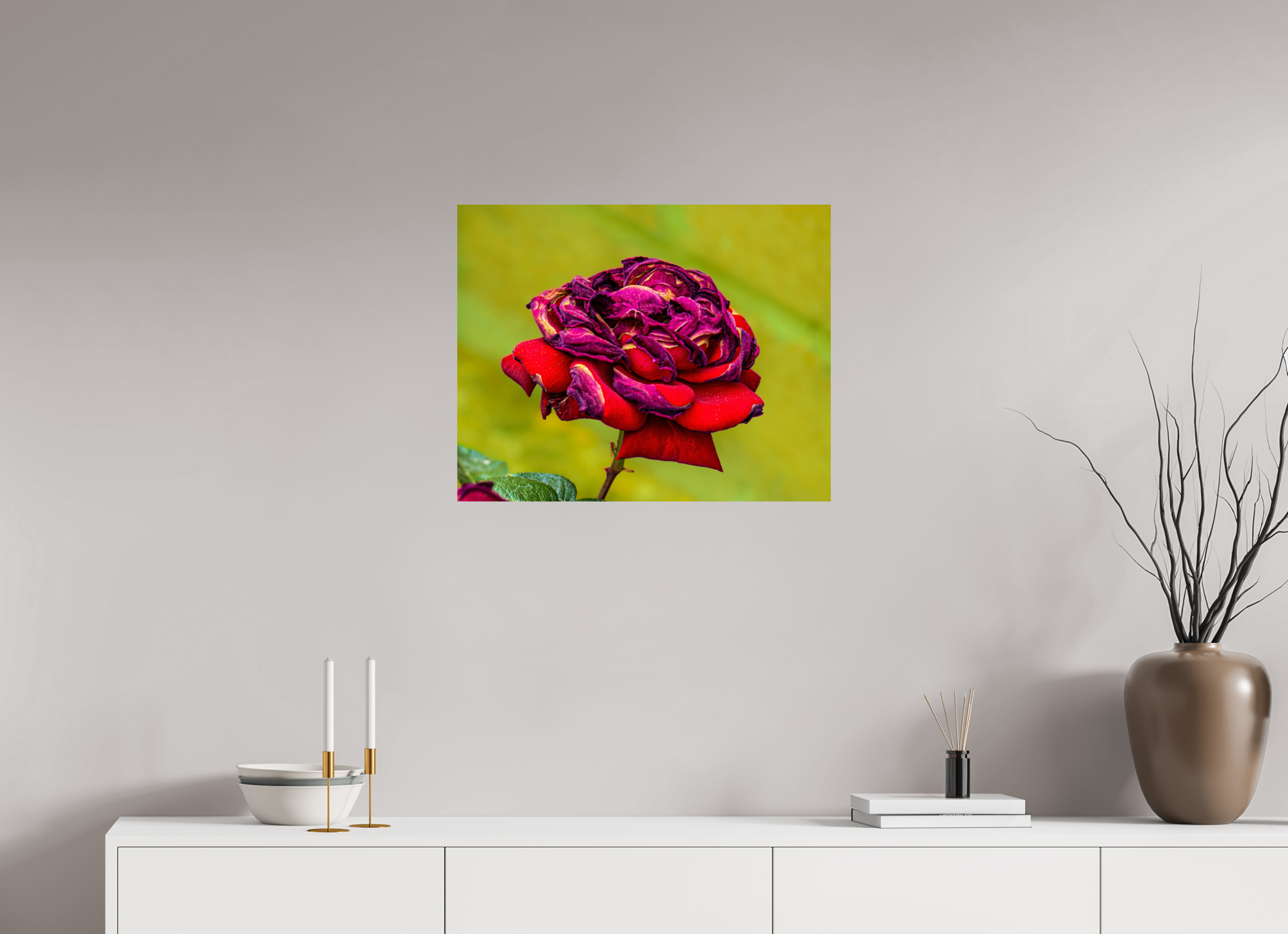 25.2 x 20″, METAL Red Rose